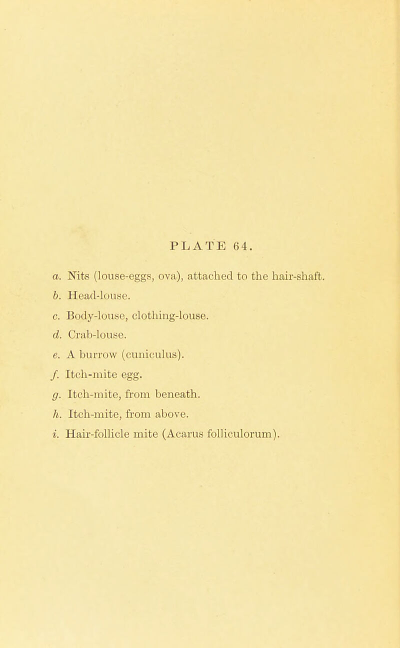 a. Nits (louse-eggs, ova), attached to the hair-shaft. h. Head-louse. c. Body-louse, clothing-louse. d. Crab-louse. e. A burrow (cuniculus). /. Itch-mite egg. g. Itch-mite, from beneath. h. Itch-mite, from above. i. Hair-follicle mite (Acarus folliculorum).