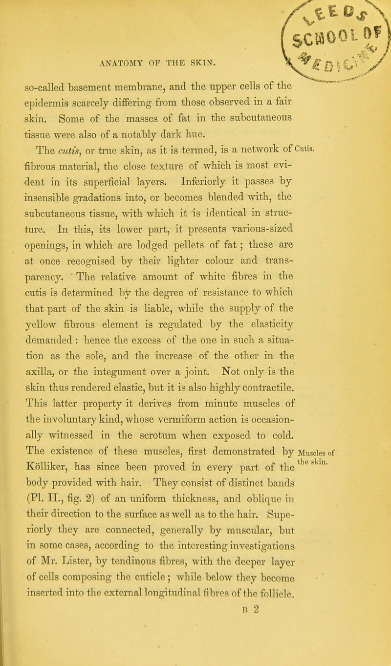 ANATOMY OF THE SKIN. 0 ^ O  ''^y^ so-called basement membrane, and the upper cells of the epidermis scarcely differing from those observed in a fair skin. Some of the masses of fat in the subcutaneous tissue were also of a notably dark hue. The cutis, or true skin, as it is termed, is a network of Cutis, fibrous material, the close texture of which is most evi- dent in its superficial layers. Inferiorly it passes by insensible gradations into, or becomes blended with, the subcutaneous tissue, with which it is identical in struc- ture. In this, its lower part, it presents various-sized openings, in which are lodged pellets of fat; these are at once recognised by their lighter colour and trans- parency. ' The relative amount of white fibres in the cutis is determined by tlie degree of resistance to which that part of the skin is liable, while the supply of the yellow fibrous element is regulated by the elasticity demanded : hence the excess of the one in such a situa- tion as the sole, and the increase of the other in the axilla^ or the integument over a joint. Not only is the skin thus rendered elastic, but it is also highly contractile. This latter property it derives fi'om minute muscles of the involuntary kind, whose vermiform action is occasion- ally witnessed in the scrotum when exposed to cold. The existence of these muscles, first demonstrated by Muscles of KoUiker, has since been proved in every part of the body provided with hair. They consist of distinct bands (PI. II., fig. 2) of an uniform thickness, and oblique in their direction to the surface as well as to the hair. Supe- riorly they are connected, generally by muscular, but in some cases, according to the interesting investigations of Mr. Lister, by tendinous fibres, with the deeper layer of cells composing the cuticle; while below they become inserted into the external longitudinal fibres of the follicle. 1^ 2