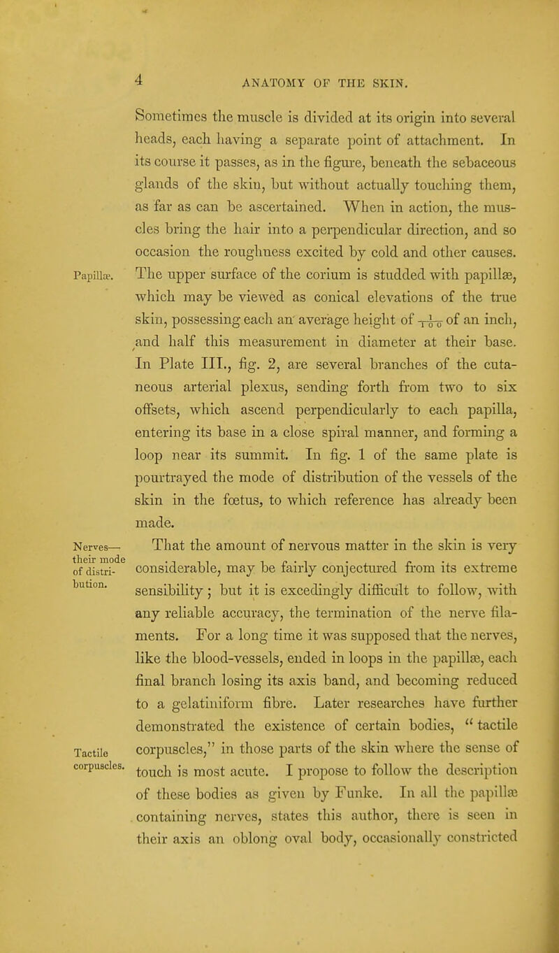 Sometimes the muscle is divided at its origin into several heads, each having a separate point of attachment. In its course it passes, as in the figure, beneath the sebaceous glands of the skin, but without actually touching them, as far as can be ascertained. When in action, the mus- cles bring the hair into a pei-pendicular direction, and so occasion the roughness excited by cold and other causes. Papilla-. The upper surface of the corium is studded with papilla, which may be viewed as conical elevations of the true skin, possessing each an' average height of -tb-o of an inch, and half this measurement in diameter at their base. In Plate III., fig. 2, are several branches of the cuta- neous arterial plexus, sending forth from two to six oifsets, which ascend perpendicularly to each papilla, entering its base in a close spiral manner, and forming a loop near its summit. In fig. 1 of the same plate is pourtrayed the mode of distribution of the vessels of the skin in the foetus, to which reference has already been made. Nerves— That the amount of nervous matter in the skin is very of distri- considerable, may be fairly conjectured from its extreme bution. sensibility ; but it is excedingly difficult to follow, with any reliable accuracy, the termination of the nerve fila- ments. For a long time it was supposed that the nerves, like the blood-vessels, ended in loops in the papillaj, each final branch losing its axis band, and becoming reduced to a gelatiniform fibre. Later researches have further demonsh-ated the existence of certain bodies,  tactile Tactile corpusclcs, in those parts of the skin where the sense of corpuscles, ^^^^.j^ jg ^^q^^ acute. I propose to follow the description of these bodies as given by Funke. In all the papillae . containing nerves, states this author, there is seen in their axis an oblong oval body, occasionally constricted
