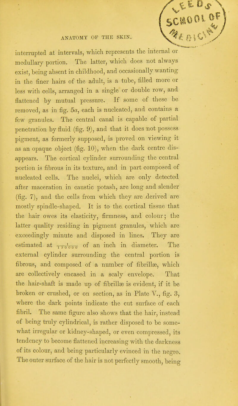 interrupted at intervals, which represents the internal or medullary portion. The latter, which does not always exist, being absent in childhood, and occasionally wanting in the finer hairs of the adult, is a tube, filled more or less with cells, arranged in a single or double row, and flattened by mutual pressui-e. If some of these be removed, as in fig. 5a, each is nucleated, and contains a few granules. The central canal is capable of partial penetration by fluid (fig. 9), and that it does not possess pigment, as formerly supposed, is proved on viewing it as an opaque object (fig. 10), when the dark centre dis- appears. The cortical cylinder surrounding the central portion is fibrous in its texture, and in part composed of nucleated cells. The nuclei, which are only detected after maceration in caustic potash, are long and slender (fig. 7), and the cells from which they are derived are mostly spindle-shaped. It is to the cortical tissue tliat the hair owes its elasticity, firmness, and colour; the latter quality residing in pigment granules, which are exceedingly minute and disposed in lines. They are estimated at i ^ p p of an inch in diameter. The external cylinder surrounding the central portion is fibrous, and composed of a number of fibril!£e, which are collectively encased in a scaly envelope. Tliat the hair-shaft is made up of fibrillEe is evident, if it be broken or crushed, or on section, as in Plate V., fig. 3, where the dark points indicate the cut surface of each fibril. The same figiu-e also sliows that the hair, instead of being truly cylindrical, is rather disposed to be some- what irregular or kidney-shaped, or even compressed, its tendency to become flattened increasing with tlie darkness of its colour, and being particularly evinced in the negro. The outer surface of the hair is not perfectly smooth, being