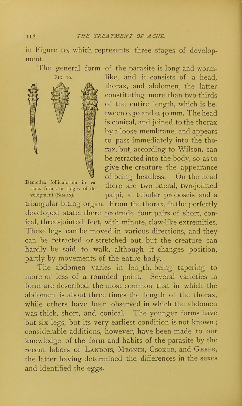 in Figure 10, which represents three stages of develop- ment. The general form of the parasite is long and worm- like, and it consists of a head, thorax, and abdomen, the latter constituting more than two-thirds of the entire length, which is be- tween o. 30 and 0.40 mm. The head is conical, and joined to the thorax by a loose membrane, and appears to pass immediately into the tho- rax, but, according to Wilson, can be retracted into the body, so as to give the creature the appearance of being headless. On the head there are two lateral, two-jointed palpi, a tubular proboscis and a triangular biting organ. From the thorax, in the perfectly developed state, there protrude four pairs of short, con- ical, three-jointed feet, with minute, claw-like extremities. These legs can be moved in various directions, and they can be retracted or stretched out, but the creature can hardly be said to walk, although it changes position, partly by movements of the entire body. The abdomen varies in length, being tapering to more or less of a rounded point. Several varieties in form are described, the most common that in which the abdomen is about three times the length of the thorax, while others have been observed in which the abdomen was thick, short, and conical. The younger forms have but six legs, but its very earliest condition is not known ; considerable additions, however, have been made to our knowledge of the form and habits of the parasite by the recent labors of Landois, Megnin, Csokor, and Geber, the latter having determined the differences in the sexes and identified the eggs. Fig. to. Demodex folliculorum in va- rious forms or stages of de- velopment (Simon).