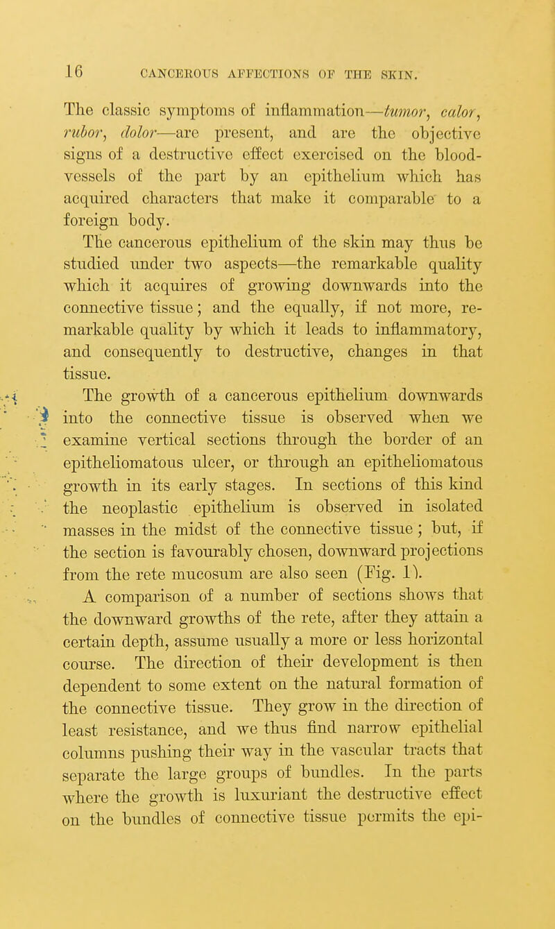 The classic symptoms of inflammation—tumor^ color^ rubor^ dolor—are present, and are the objective signs of a destructive eifect exercised on the blood- vessels of the part by an epithelium which has acquired characters that make it comparable to a foreign body. The cancerous epithelium of the skin may thus be studied under two aspects—the remarkable quality which it acquires of growing downwards into the connective tissue; and the equally, if not more, re- markable quality by which it leads to injlammatory, and consequently to destructive, changes in that tissue. .-i The growth of a cancerous epithelium downwards into the connective tissue is observed when we * examine vertical sections through the border of an epitheliomatous ulcer, or through an epitheliomatous growth in its early stages. In sections of this kind .' the neoplastic epithelium is observed in isolated '■ masses in the midst of the connective tissue ; but, if the section is favourably chosen, downward projections from the rete mucosum are also seen (Fig. IV A comparison of a number of sections shows that the downward growths of the rete, after they attain a certain depth, assume usually a more or less horizontal course. The direction of theii* development is then dependent to some extent on the natural formation of the connective tissue. They grow in the direction of least resistance, and we thus find narrow epithelial columns pushing their way in the vascular tracts that separate the large groups of bundles. In the parts where the growth is luxuriant the destructive effect on the bundles of connective tissue permits the epi-