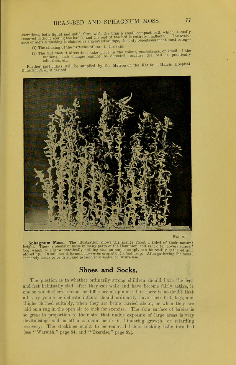 BRAN-BED AND SPHAGNUM MOSS excretions both liquid and solid, form with the bran a small compact ball, which is easily rentedwithoutoiling the hands, and the rest of the bed is entirely unaffected, rhc, avoid- anceof nupkm w JhiilgL.claimed as a great advantage, the only objections mentioned being- (1) The sticking of the particles of bran to the skin. (2) The fact that if alterations take place in the colour, Mn8'ftenw, or «m^or the motions, such changes cannot be detected, because the ball is practically odourless, etc. Further particulars will be supplied by the Matron of the Karitane Harris Hospital Dunedin, N.Z., if desired. Fin. 31. Sphagnum Moss. The illustration shows the plants about u third of their natural height. There is plenty of moss in many parts of the Dominion, and as it often covers acres of bog, whicli will grow practically nothing else, an ample supply can be readily gathered ami stored up. In summer it forms a close even crop nhout a foot deep. After gathering the moss, it merely needs to be dried and pressed into sacks for future use. Shoes and Socks. The question as to whether ordinarily strong children should have the legs and feet habitually clad, after they can walk and havo become fairly active, is one on which there is room for difference of opinion ; but there is no doubt that all very young or delicate infants should ordinarily have their feet, legs, and thighs clothed suitably, when they are being carried about, or when they are laid on a rug in the open air to kick for exercise. The skin surface of babies is so great in proportion to their size that undue exposure of large areas is very devitalising, and is often a main factor in hindering growth, or retarding recovery. The stockings ought to be removed before tucking baby into bed (see Warmth. page 84, and Exercise, page 82).