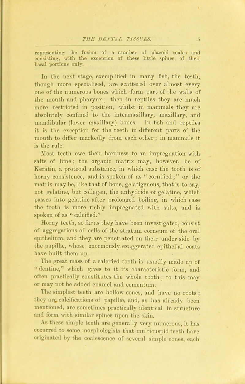representing: the fusion of a number of placoid scales and consisting, with the exception of these little spines, of their basal portions only. In the next stage, exemplified in many fish, the teeth, though more specialised, are scattered over almost every one of the numerous bones which' form part of the walls of the mouth and pharynx ; then in reptiles they are much more restricted in position, whilst in mammals they are absolutely confined to the intermaxillary, maxillary, and mandibular (lower maxillary) bones. In fish and reptiles it is the exception for the teeth in different parts of the mouth to differ markedly from each other; in mammals it is the rule. Most teeth owe their hardness to an impregnation with salts of lime; the organic matrix may, however, be of Keratin, a proteoid substance, in which case the tooth is of horny consistence, and is spoken of as cornified; or the matrix may be, like that of bone, gelatigenous, that is to say, not gelatine, but collagen, the anhydride-of gelatine, which passes into gelatine after prolonged boiling, in which case the tooth is moi-e richly impregnated with salts, and is spoken of as  calcified. Horny teeth, so far as they have been investigated, consist of aggregations of cells of the stratum corneum of the oral epithelium, and they are penetrated on their under side by the papilke, whose enormously exaggerated epithelial coats have built them up. The great mass of a calcified tooth is usually made up of dentine, which gives to it its characteristic form, and often practically constitutes the whole tooth ; to this may or may not be added enamel and cementum. The simplest teeth are hollow cones, and have no roots ; they arQ. calcifications of papilla;, and, as has already been mentioned, are sometimes practically identical in structure and form with similar spines upon the skin. As these simple teeth are generally very numerous, it has occurred to some morphologists that midticuspid teeth have originated by the coalescence of several simple cones, each