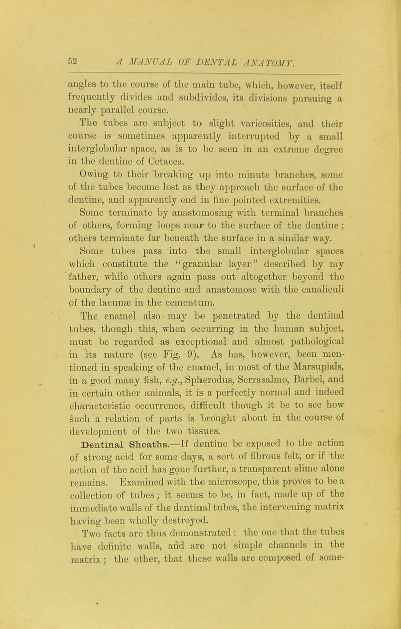 angles to the course of the main tube, which, however, itself frequently divides and subdivides, its divisions pursuing a nearly parallel course. The tubes are subject to slight varicosities, and their course is sometimes apparently interrupted l)y a small interglobular space, as is to be seen in an extreme degree in the dentine of Cetacea. Owing to their breaking np into minute branches, some of tlie tubes become lost as they approach tlie surface of the dentine, and apparently end in fine pointed extremities. Some terminate by anastomosing with terminal branches of others, forming loops near to the surface of the dentine; others terminate far beneath the surface in a similar way. Some tubes pass into the small interglobular spaces which constitute the granular layer described by my father, while others again pass out altogether beyoud the boundary of the dentine and anastomose with the canaliculi of the lacunte in the cemeutum. The enamel also may be penetrated by the dentinal tubes, though this, when occurring in the human subject, must be regarded as exceptional and almost pathological in its nature (see Fig. 9). As has, howevei-, been men- tioned in speaking of the enamel, in most of the Marsupials, in a good many fisli, e.g., Spherodus, Serrasalmo, Barbel, and in certain other animals, it is a jjerfecth' normal and indeed characteristic occurrence, difficult though it be to see how such a relation of parts is brought about in the course of development of the two tissues. Dentinal Sheaths.—If dentine be exposed to the action of strong acid for some days, a sort of fibrous felt, or if the action of the acid has gone further, a transparent slime alone remains. Examined with the microscope, this proves to be a collection of tubes; it seems to be, in fact, made up of the inmicdinte walls of the dentinal tubes, the intervening matrix having been wholly destroyed. Two facts are thus demonstrated : the one that the tubes have definite walls, aiid are not simple channels in the matrix; the other, that these walls are composed of some-
