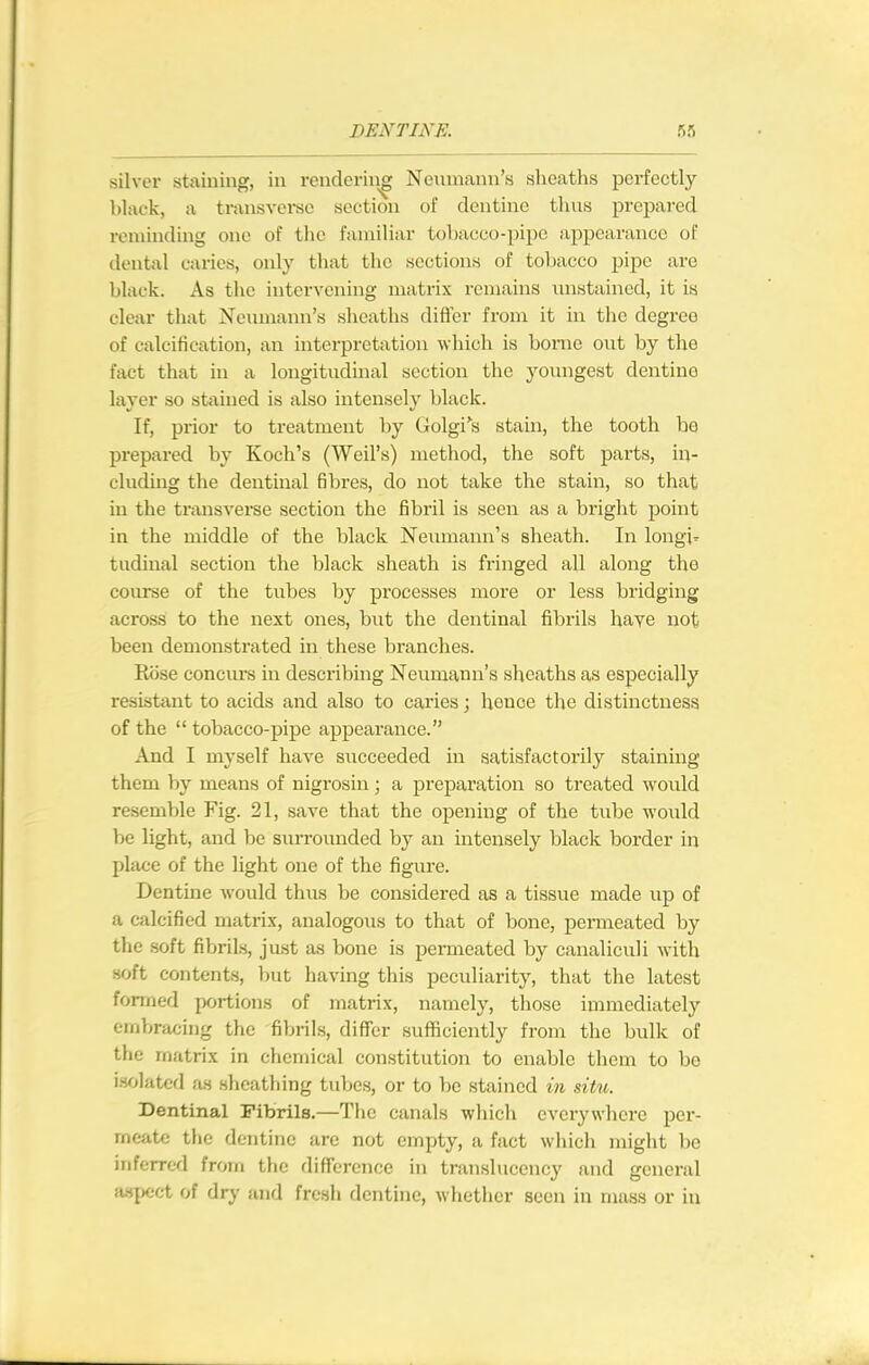 silver staining, in rendering Neumann's sheaths perfectly black, a transvei-sc section of dentine thus prepared reminding one of the familiar tobacco-pipe appearance of dental caries, only that the sections of tol)acco jjipc are black. As the intervening matrix remains luistained, it is clear that Neiunann's sheaths difler from it in tlie degree of calcification, an interpretation which is bonie out by the fact that in a longitudinal section the youngest dentine layer so stained is also intensely black. If, prior to treatment by Golgi^s stain, the tooth he prepared by Koch's (Weil's) method, the soft parts, in- cluding the dentinal fibres, do not take the stain, so that in the transverse section the fibril is seen as a bright point in the middle of the black Neumann's sheath. In longi^ tiidinal section the black sheath is fringed all along the course of the tubes by processes more or less bridging across to the next ones, but the dentinal fibrils haye not been demonstrated in these branches. Rose conciu's in describing Neumann's sheaths as especially resistant to acids and also to caries; hence the distinctness of the tobacco-pipe appearance. And I myself have succeeded in satisfactorily staining them by means of nigrosin; a preparation so treated would resemble Fig. 21, save that the opening of the tube would be light, and be suiTounded by an intensely black border in place of the light one of the figure. Dentine would thus be considered as a tissue made up of a calcified matrix, analogous to that of bone, permeated by the .soft fibrils, just as bone is permeated by canaliculi with soft contents, l)ut having this peculiarity, that the latest formed portions of matrix, namely, those immediately embracing the fibrils, differ sufficiently from the bvilk of the matrix in chemical constitution to enable them to be isolated as sheathing tubes, or to be stained in situ. Dentinal Fibrils.—The canals wliich everywhere per- meate the dentine are not empty, a fact which might be inferred from the difference in translucency and general {ispcct of dry and fresh dentine, whether seen in mass or in