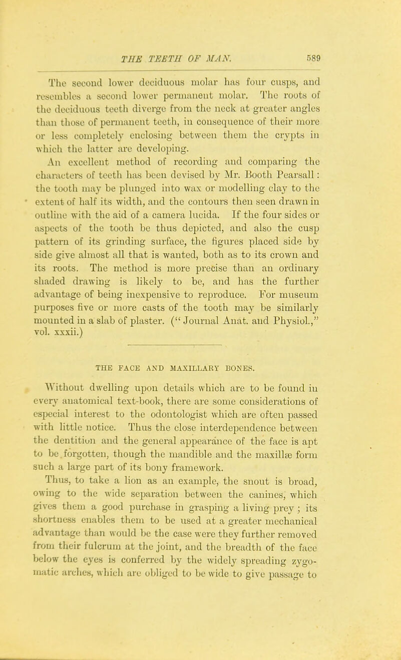 The second lower deciduous molar has four cusps, and resembles a second lower permanent molar. The roots of the deciduous teeth diverge from the neck at greater angles than those of permanent tooth, in consequence of their more or less completely enclosing between them the crypts in which the latter ai-e developing. An excellent method of recording and comparing the characters of teeth has been devised by Mr. Booth Pearsall: the tooth may be plunged into wax or modelling clay to the extent of half its width, and the contours then seen drawn in outline with the aid of a camera lucida. If the four sides or aspects of the tooth be thus depicted, and also the cusp pattern of its grinding surface, the figures placed side by side give almost all that is wanted, both as to its crown and its roots. The method is more precise than an ordinary shaded drawing is likely to be, and has the further advantage of being inexpensive to reproduce. For museum purposes five or more casts of the tooth may be similarly mounted in a slab of plaster. ( Joiirnal Anat. and Physiol., vol. xxxii.) THE FACE AND MAXILLARY BONES. Without dwelling upou details which are to be found in every anatomical text-book, there are some considerations of especial interest to the odontologist which are often passed with little notice. Thus the close interdependence between the dentition and the general appearance of the face is apt to be. forgotten, though the mandible and the maxillje form such a large part of its bony framework. Thus, to take a lion as an example, the snout is broad, owing to the wide separation between the canines, which gives them a good purchase in grasping a living prey ; its shortness enables them to be used at a greater mechanical advantage than would be the case were they further removed from their fulcrum at the joint, and tlic breadtli of tiie face below the eyes is conferred by the widely spreading zygo- matic arches, which are obliged to be wide to give pixssage to