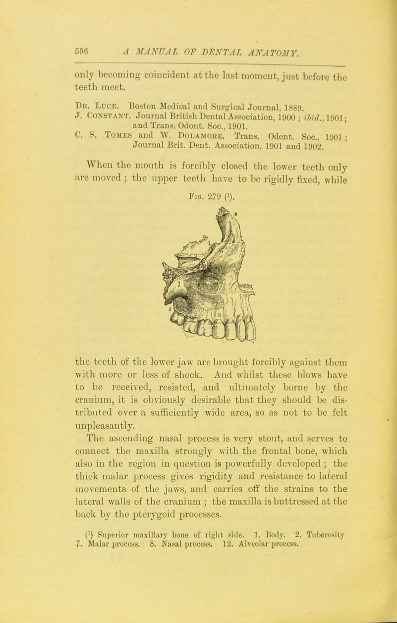 only becoming coincident attlic last moment, just before the teeth meet. Dr. Luce. Boston Medical and Surfrical Journal, 1880. J. Constant. Journal British Dental Association, i'JOO ; ihuL, 1001; and Trans. Odont. Soc, 1001. C. S. Tomes and AV. Dolamoke. Trans. Odont. Soc, 1001 ; Journal Brit. Dent. Association, 1001 and 1902. Wlion the moxith is forcibly closed the lower teeth only are moved ; the upper teeth hare to be rigidly fi.xed, while Fig. 279 0). the teeth of the lower jaw are brought foi-cibly against them ■with more or less of shock. And whilst these blows have to be received, resisted, and ultimately borne by the cranium, it is obviously desirable that they should be dis- tributed over a sufficiently wide area, so as not to be felt unpleasantly. The ascending nasal process is very stout, and serves to connect the maxilla strongly with the frontal bone, which also in the region in question is powerfully developed ; the thick malar process gives rigidity and resistance to lateral movements of the jaws, and carries off the strains to the lateral walls of the cranium ; the maxilla is buttressed at the back by the pterygoid processes. (') Superior maxillary bone of right side. 1. Body. 2. Tuberosity 7. Malar ^jroccss. 8. Nasal process. 12. Alveolar process.