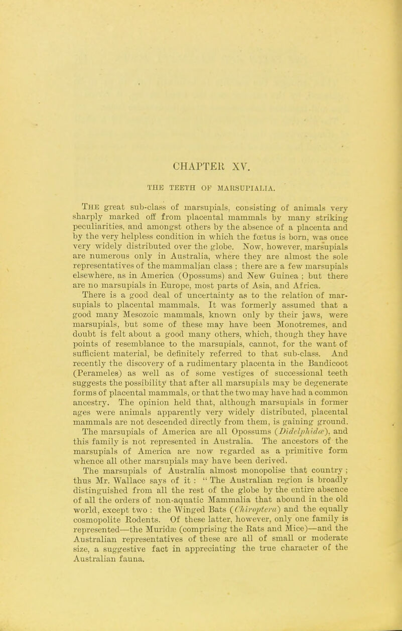 CHAPTEU XV. THK TEETH OK JIAIISUPIALIA. The great sub-class of marsupials, consisting of animals very sharply marked olf from placental mammals b^' many striking peculiarities, and among-st others by the absence of a placenta and by the very helpless condition in which the fcetus is born, was once very widely distributed over the globe. Now, however, marsupials are numerous only in Australia, where they are almost the sole representatives of the mammalian class : there are a few marsupials elsewhere, as in America (Opossums) and New Guinea : but there are no marsupials in Europe, most parts of Asia, and Africa. There is a good deal of uncertainty as to the relation of mar- supials to placental mammals. It was formerly assumed that a good many Mesozoic mammals, known only by their jaws, were marsupials, but some of these may have been Slouotremes, and doubt is felt about a good many others, which, though they have points of resemblance to the marsupials, cannot, for the want of suflBcient material, be definitely referred to that sub-cla.«s. And recently the discovery of a rudimentary placenta in the Bandicoot (Perameles) as well as of some vestiges of successional teeth suggests the possibility that after all marsupials may be degenerate forms of placental mammals, or that the two may have had a common ancestry. The opinion held that, although marsupials in former ages were animals apparently very widely distributed, placental mammals are not descended directly from them, is gaining ground. The marsupials of America are all Opossums (Didcljiliuhr). and this family is not represented in Australia. The ancestors of the marsupials of America are now regarded as a ijrimitive form whence all other marsupials may have been derived. The marsupials of Australia almost monopolise that country ; thus Mr. Wallace says of it :  The Australian region is broadly distinguished from all the rest of the globe by the entire absence of all the orders of non-aquatic Mammalia that abound in the old world, except two : the Winged Bats {(hb-optcni) and the equally cosmopolite Rodents. Of these latter, however, only one family is represented—the Muridtu (comprising the Eats and Mice)—and the Australian representatives of these are all of small or moderate size, a suggestive fact in appreciating the true character of the Australian fauna.