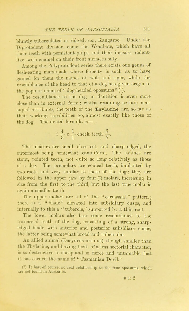 bluntly tuberculated or ridged, e.g., Kangaroo. Under the Diprotodout division come the Wombats, which have all their teeth with pei-sistent pulps, and their incisors, rodent- like, witli enamel on their front surfaces only. Among the Polyprotodont series there exists one genus of flesh-eating marsupials whose ferocity is such as to have gained for them the names of wolf and tiger, while the resemblance of the head to that of a dog has given origin to the popular name of  dog-headed opossums  {}). The resemblance to the dog in dentition is even more close than in external form; whilst retaining certain mar- supial attributes, the teeth of the Thylacine are, so far as their working capabilities go, almost exactly like those of the dog. The dental formula is— i — c i cheek teeth —. .3 1 .7 The incisors are small, close set, and sharp edged, the outermost being somewhat caniniform. The canines are stout, pointed teeth, not quite so long relatively as those of a dog. The premolars are conical teeth, implanted by two roots, and very similar to those of the dog; they are followed in the upper jaw by four (?) molars, increasing in size from the first to the third, but the last true molar is again a smaller tooth. The upper molars are all of the carnassial pattern; there is a blade elevated into subsidiary cusps, and internally to this a  tubercle, supported by a thin root. The lower molars also bear some resemblance to the carnassial teeth of the dog, consisting of a strong, sharp- edged blade, with anterior and posterior subsidiary cusps, the latter being somewhat broad and tubercular. An allied animal (Da.syurus ursinus), though smaller than the Thylacine, and having teeth of a less sectorial character, i.s so destructive to sheep and so fierce and untamable that it ha8 earned the name of  Tasmanian Devil. 0) It has, of course, no real relationship to the true opossum!!, which are not found in Australia. R R 2