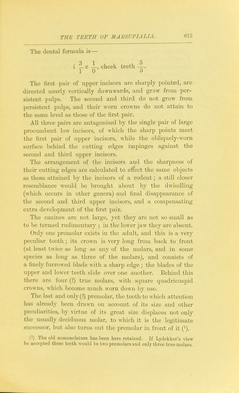 The deutal formula is— i cheek teeth The first pair of upper incisors are sharply pointed, are directed nearly vertically downwards, and grow from per- sistent pulps. The second and third do not grow from pei-sistent pulps, and their worn crowns do not attain to the same level as those of the hrst pair. All three paii-s are antagonised by the single pair of large procumbent low incisors, of which the sharp points meet the fii-st pair of upper incisors, while the obliquely-worn sm-face behind the cutting edges impinges against the second and third upper incisors. The arrangement of the incisors aud the sharpness of their cutting edges are calculated to effect the same objects as those attained by the incisors of a rodent; a still closer resemblance would be brought about by the dwindling (which occurs in other genera) and final disappearance of the second aud third upper incisors, and a compensating extra development of the first paiv. The canines are not large, yet they are not so small as to be termed rudimentary ; in the lower jaw they are absent. Only one premolar exists in the adult, aud this is a very pecidiar tooth; its crown is vei-y long from back to front (at least twice as long as any of the molars, and in some species as long as three of the molars), aud consists of a finely furrowed blade with a sharp edge; the blades of the upper and lower teeth slide over one another. Behind this there are four (?) true molars, with square quadricuspid crowns, which become much worn down by use. The ]a.st and only(?) premolar, the tooth to which attention ha.s alrcfidy been drawn on account of its size and other peculiarities, by virtue of its great size displaces not only the usually deciduous molar, to which it is the legitimate Hucces.sor, but also turns out the premolar in front of it (^). (') The old nomenclature ha« been here retiiiiied. If Lydekkers view be accepted these teeth would he two premolars and only three trueinohirs.