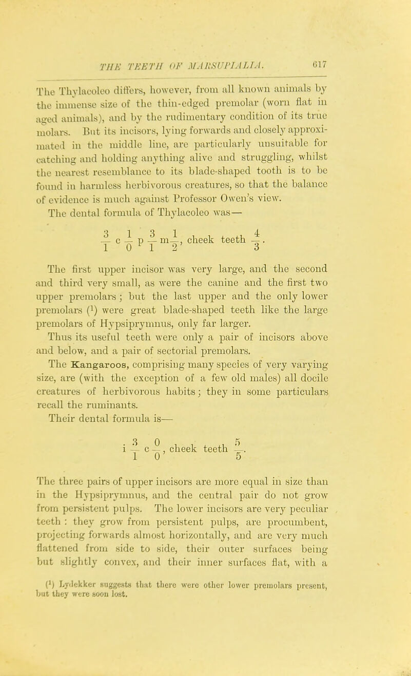 Tlie Thylacoleo differs, however, from all known animals by the immense size of the thin-edged premolar (worn flat in aged animals), and by the rudimentary condition of its true molai-s. But its incisors, lying forwards and closely approxi- mated in the middle line, are particularly unsuitable for catching and holding anything alive and struggling, whilst the nearest resemblance to its blade-shaped tooth is to be found in harmless herbivorous creatures, so that the balance of evidence is much against Professor Owen's view. The dental formula of Thylacoleo was— _^ c — p — m-i, cheek teeth . 10^12' 3 The first upper incisor was very large, and the second and third very small, as were the canine and the first two upper premolars ; but the last upper and the only lower premolars {^) were great blade-shaped teeth like the large premolars of Hypsiprymnus, only far larger. Thus its useful teeth were only a pair of incisors above and below, and a pair of sectorial premolars. The Kangaroos, comprising many species of very varying size, are (with the exception of a few old males) all docile creatures of herbivorous habits; they in some particulars recall the iiiminants. Their dental formula is— i — c , cheek teeth ~. 10 5 The three pairs of upper incisors are more equal in size than in the Hypsiprynuius, and the central pair do not grow from persistent pulps. The lower incisors are very peculiar teeth : tliey grow from persistent pulps, are procumbent, projecting forwards almost horizontally, and are very much flattened from side to side, their outer surfaces being but slightly convex, and their inner sin-faces flat, with a (') Lylekker suggests that there were oilier lower premolars present, Lut they were soou lost.