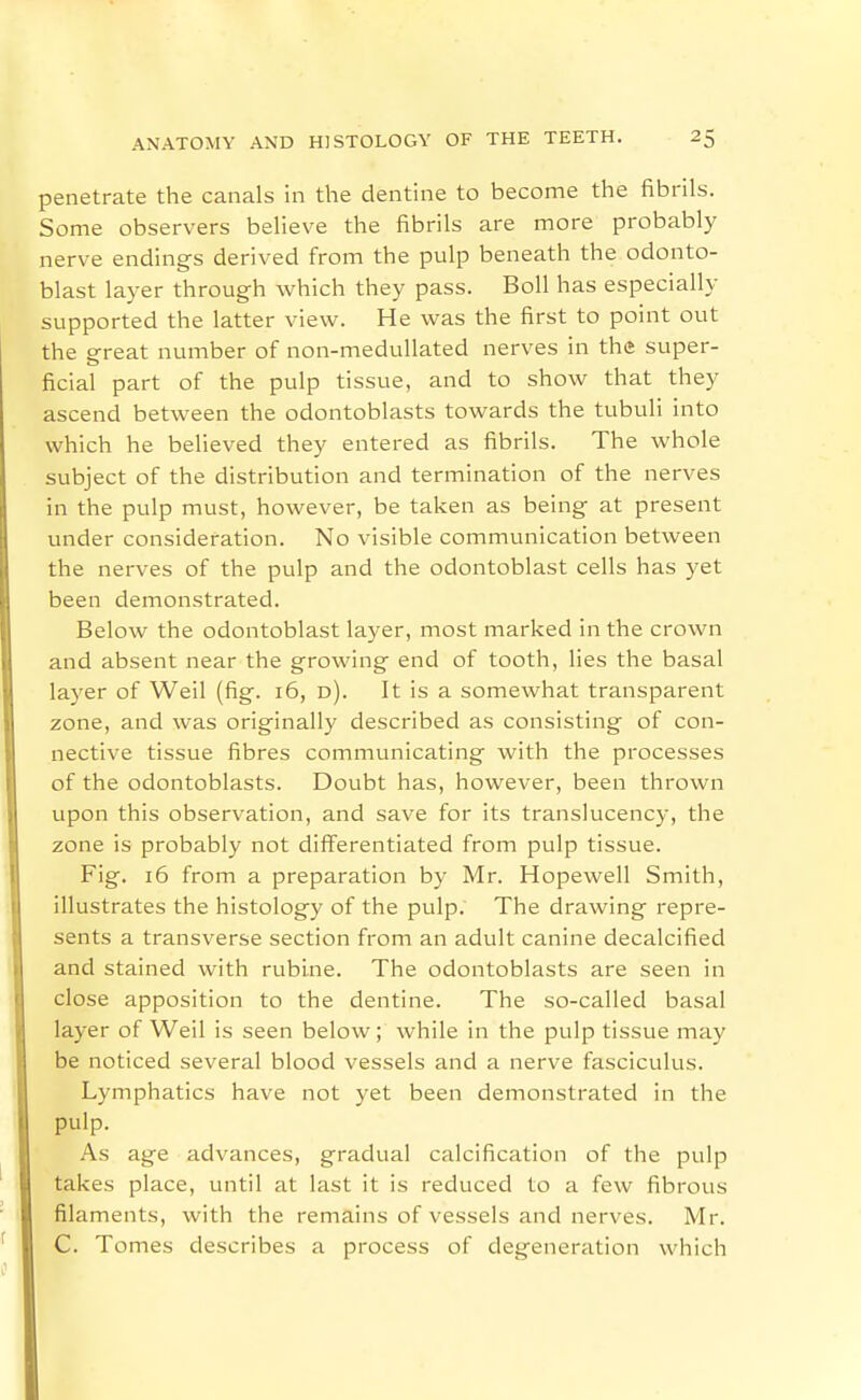 penetrate the canals in the dentine to become the fibrils. Some observers believe the fibrils are more probably nerve endings derived from the pulp beneath the odonto- blast layer through which they pass. Boll has especially supported the latter view. He was the first to point out the great number of non-meduUated nerves in the super- ficial part of the pulp tissue, and to show that they ascend between the odontoblasts towards the tubuli into which he believed they entered as fibrils. The whole subject of the distribution and termination of the nerves in the pulp must, however, be taken as being at present under consideration. No visible communication between the nerves of the pulp and the odontoblast cells has yet been demonstrated. Below the odontoblast layer, most marked in the crown and absent near the growing end of tooth, lies the basal layer of Weil (fig. 16, d). It is a somewhat transparent zone, and was originally described as consisting of con- nective tissue fibres communicating with the processes of the odontoblasts. Doubt has, however, been thrown upon this observation, and save for its translucency, the zone is probably not differentiated from pulp tissue. Fig. 16 from a preparation by Mr. Hopewell Smith, illustrates the histology of the pulp. The drawing repre- sents a transverse section from an adult canine decalcified and stained with rubine. The odontoblasts are seen in close apposition to the dentine. The so-called basal layer of Weil is seen below; while in the pulp tissue may be noticed several blood vessels and a nerve fasciculus. Lymphatics have not yet been demonstrated in the pulp. As age advances, gradual calcification of the pulp takes place, until at last it is reduced to a few fibrous filaments, with the remains of vessels and nerves. Mr. C. Tomes describes a process of degeneration which