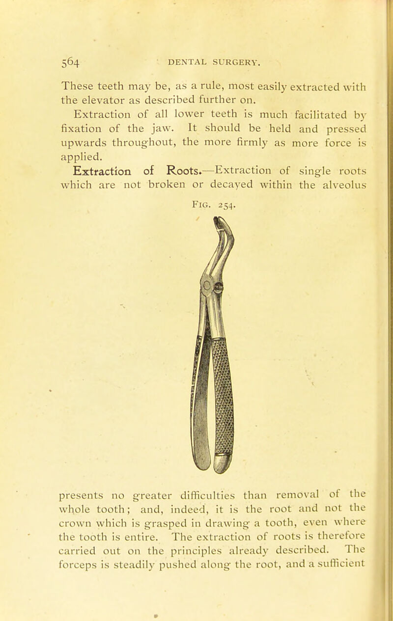 These teeth may be, as a rule, most easily extracted with the elevator as described further on. Extraction of all lower teeth is much facilitated by fixation of the jaw. It should be held and pressed upwards throughout, the more firmly as more force is applied. Extraction of Roots.—Extraction of single roots which are not broken or decayed within the alveolus Fig. 254. presents no greater difficulties than removal of the whole tooth; and, indeed, it is the root and not the crown which is grasped in drawing a tooth, even where the tooth is entire. The extraction of roots is therefore carried out on the principles already described. The forceps is steadily pushed along the root, and a sufficient