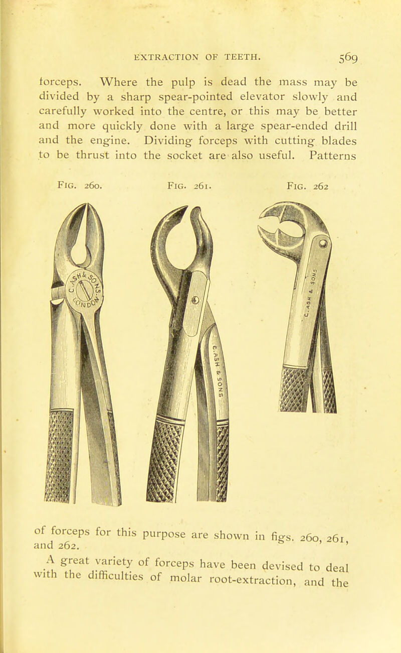 forceps. Where the pulp is dead the mass may be divided by a sharp spear-pointed elevator slowly and carefully worked into the centre, or this may be better and more quickly done with a large spear-ended drill and the engine. Dividing forceps with cutting blades to be thrust into the socket are also useful. Patterns Fig. 260. Fig. 261. Fig. 262 of forceps for this purpose are shown in figs. 260 261 and 262. ' ' A great variety of forceps have been devised to deal with the difficulties of molar root-extraction, and the