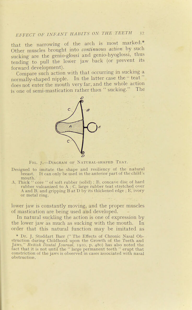 that the narrowing of the arch is most marked* Other muscles brought into continuous action by such sucking are the genio-glossi and genio-hyoglossi, thus tending to pull the lower jaw back (or prevent its forward development). Compare such action with that occurring in suckmg a normally-shaped nipple. In the latter case the  teat  does not enter the mouth very far, and the whole action is one of semi-mastication rather than  sucking. The Designed to imitate the shape and resiliency of the natural breast. It can only be used in the anterior part of the child's mouth. A, Thick  core  of soft rubber (solid) ; B, concave disc of hard rubber vulcanized to A ; C, large rubber teat stretched over A. and B, and gripping B at D by its thickened edge ; E, ivory or metal ring. lower jaw is constantly moving, and the proper muscles of mastication are being used and developed. In natural suckling the action is one of expression by the lower jaw as much as sucking with the mouth. In order that this natural function may be imitated as * Dr. J. Stoddart Barr ( The Effects of Chronic Nasal Ob- struction during Childhood upon the Growth of the Teeth and Jaws, British Dental Journal, 1910, p. 480) has also noted the fact that it is not until the  large permanent teeth  erupt that constriction of the jaws is observed in cases associated with nasal obstruction. Fig. 7.—Diagram of Natural-shaped Teat.