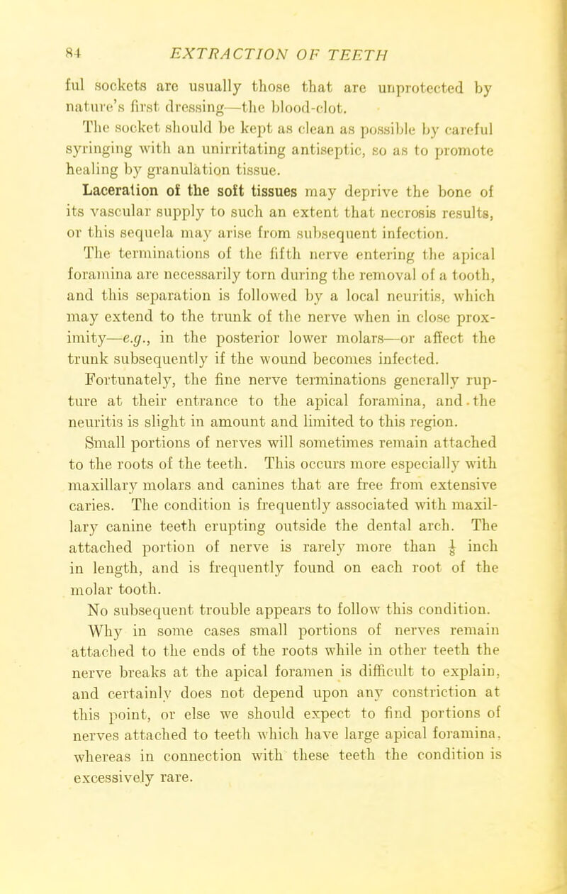 ful sockets are usually those that are unprotected by nature's first dressing—the blood-clot. The socket should be kept as clean as possible by careful syringing with an unirritating antiseptic, so as to promote healing by granulation tissue. Laceration of the soft tissues may deprive the bone of its vascular supply to such an extent that necrosis results, or this sequela may arise from subsequent infection. The terminations of the fifth nerve entering the apical foramina are necessarily torn during the removal of a tooth, and this separation is followed by a local neuritis, which may extend to the trunk of the nerve when in close prox- imity—e.g., in the posterior lower molars—or affect the trunk subsequently if the wound becomes infected. Fortunately, the fine nerve terminations generally rup- ture at their entrance to the apical foramina, and the neuritis is slight in amount and limited to this region. Small portions of nerves will sometimes remain attached to the roots of the teeth. This occurs more especially with maxillary molars and canines that are free from extensive caries. The condition is frequently associated with maxil- lary canine teeth erupting outside the dental arch. The attached portion of nerve is rarely more than 1 inch in length, and is frequently found on each root of the molar tooth. No subsequent trouble appears to follow this condition. Why in some cases small portions of nerves remain attached to the ends of the roots while in other teeth the nerve breaks at the apical foramen is difficult to explain, and certainly does not depend upon any constriction at this point, or else we should expect to find portions of nerves attached to teeth which have large apical foramina, whereas in connection with these teeth the condition is excessively rare.