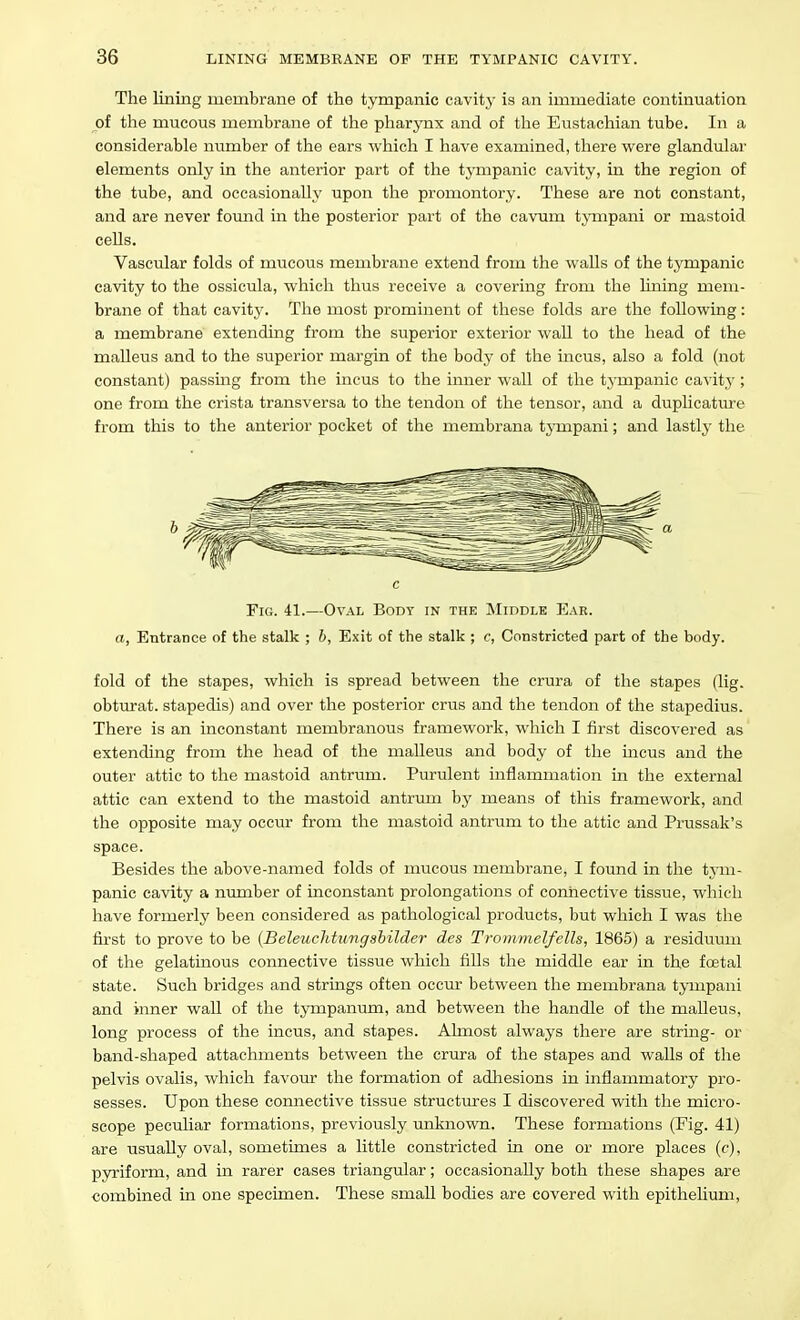 The lining membrane of the tympanic cavity is an immediate continuation of the mucous membrane of the pharynx and of the Eustachian tube. In a considerable number of the ears which I have examined, there were glandular elements only in the anterior part of the tympanic cavity, in the region of the tube, and occasionally upon the promontory. These are not constant, and are never fomid in the posterior part of the cavum tjTnpani or mastoid cells. Vascular folds of mucous membrane extend from the walls of the tj^mpanic cavity to the ossicula, which thus receive a covering from the hning mem- brane of that cavity. The most prominent of these folds are the following: a membrane extending from the superior exterior wall to the head of the malleus and to the superior margin of the body of the incus, also a fold (not constant) passing from the incus to the inner wall of the tympanic cavity; one from the crista transversa to the tendon of the tensor, and a duplicature from this to the anterior pocket of the membrana tympani; and lastly the c Fig. 41.—Oval Body in the Middle Ear. a, Entrance of the stalk ; h, Exit of the stalk ; c, Constricted part of the body. fold of the stapes, which is spread between the crura of the stapes (lig. obturat. stapedis) and over the posterior crus and the tendon of the stapedius. There is an inconstant membranous framework, which I first discovered as extending from the head of the malleus and body of the mcus and the outer attic to the mastoid antrum. Purulent inflammation in the external attic can extend to the mastoid antrum by means of this framework, and the opposite may occur from the mastoid antrum to the attic and Prussak's space. Besides the above-named folds of nmcous membrane, I found in the tym- panic cavity a number of inconstant prolongations of connective tissue, which have formerly been considered as pathological products, but which I was the first to prove to be {Beleuchtungsbilder des Trommelfells, 1865) a residuum of the gelatinous connective tissue which fills the middle ear in the foetal state. Such bridges and strings often occiu between the membrana tympani and inner waU of the tympanum, and between the handle of the malleus, long process of the incus, and stapes. Almost always there are string- or band-shaped attachments between the criura of the stapes and walls of the pelvis ovalis, which favom* the formation of adliesions in inflammatory pro- sesses. Upon these connective tissue structures I discovered with the micro- scope peculiar formations, previously unknown. These formations (Fig. 41) are iisually oval, sometimes a little constricted in one or more places (c), pyriform, and in rarer cases triangular; occasionally both these shapes are combined in one specimen. These small bodies are covered with epithelium,