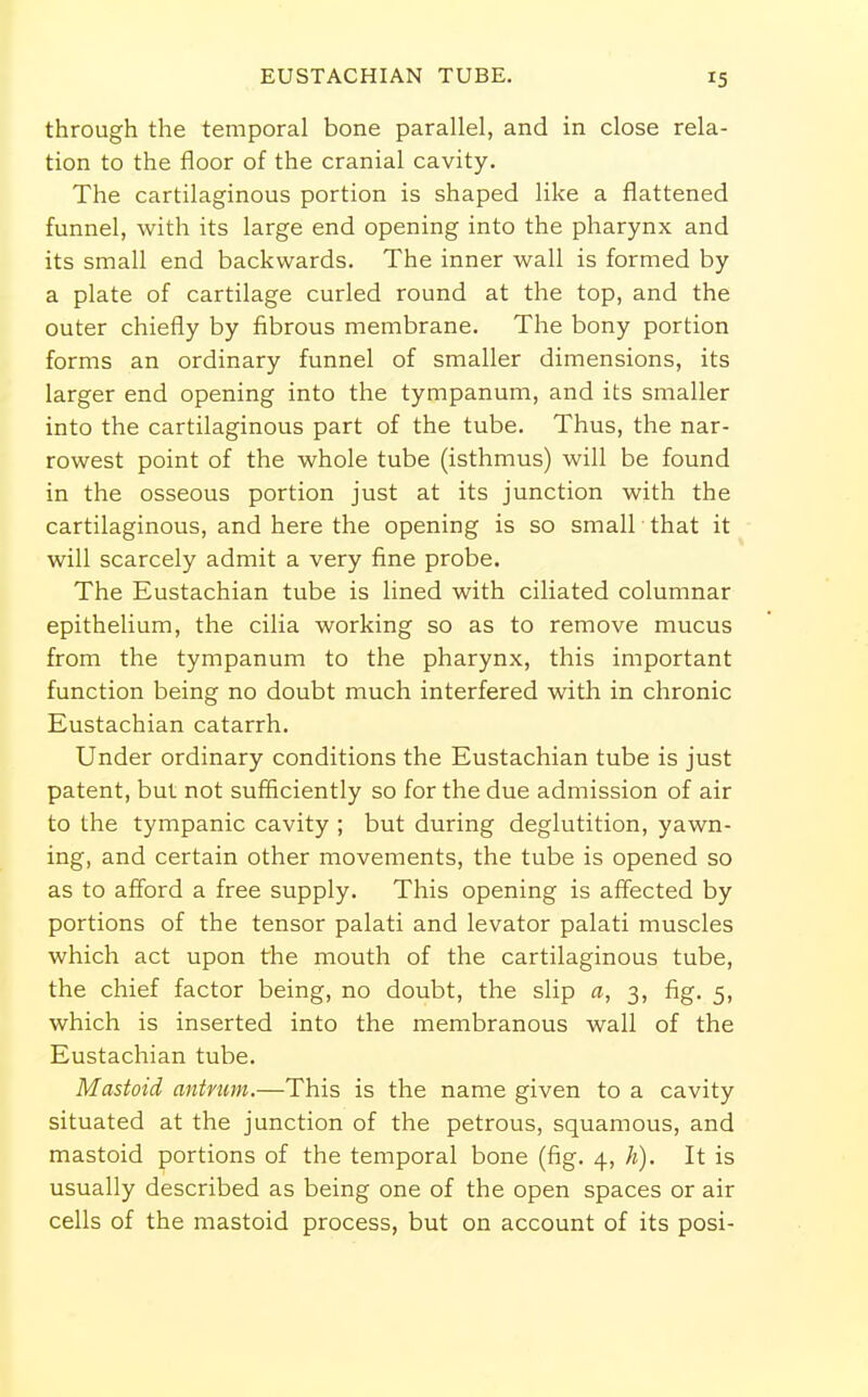 EUSTACHIAN TUBE. IS through the temporal bone parallel, and in close rela- tion to the floor of the cranial cavity. The cartilaginous portion is shaped like a flattened funnel, with its large end opening into the pharynx and its small end backwards. The inner wall is formed by a plate of cartilage curled round at the top, and the outer chiefly by fibrous membrane. The bony portion forms an ordinary funnel of smaller dimensions, its larger end opening into the tympanum, and its smaller into the cartilaginous part of the tube. Thus, the nar- rowest point of the whole tube (isthmus) will be found in the osseous portion just at its junction with the cartilaginous, and here the opening is so small that it will scarcely admit a very fine probe. The Eustachian tube is lined with ciliated columnar epithelium, the cilia working so as to remove mucus from the tympanum to the pharynx, this important function being no doubt much interfered with in chronic Eustachian catarrh. Under ordinary conditions the Eustachian tube is just patent, but not sufficiently so for the due admission of air to the tympanic cavity ; but during deglutition, yawn- ing, and certain other movements, the tube is opened so as to afford a free supply. This opening is affected by portions of the tensor palati and levator palati muscles which act upon the mouth of the cartilaginous tube, the chief factor being, no doubt, the slip a, 3, fig. 5, which is inserted into the membranous wall of the Eustachian tube. Mastoid antrum.—This is the name given to a cavity situated at the junction of the petrous, squamous, and mastoid portions of the temporal bone (fig. 4, h). It is usually described as being one of the open spaces or air cells of the mastoid process, but on account of its posi-