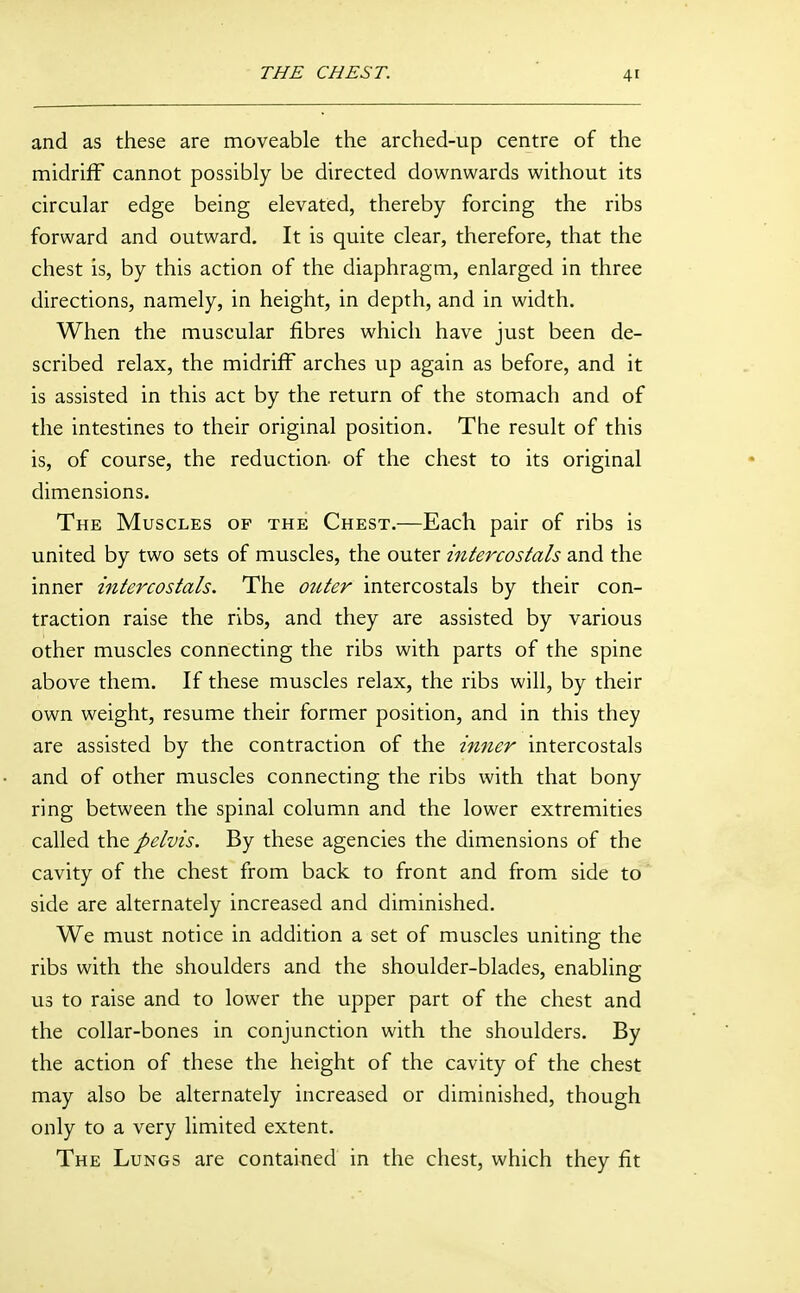 and as these are moveable the arched-up centre of the midriff cannot possibly be directed downwards without its circular edge being elevated, thereby forcing the ribs forward and outward. It is quite clear, therefore, that the chest is, by this action of the diaphragm, enlarged in three directions, namely, in height, in depth, and in width. When the muscular fibres which have just been de- scribed relax, the midriff arches up again as before, and it is assisted in this act by the return of the stomach and of the intestines to their original position. The result of this is, of course, the reduction- of the chest to its original dimensions. The Muscles of the Chest.—Each pair of ribs is united by two sets of muscles, the outer intercostals and the inner intercostals. The outer intercostals by their con- traction raise the ribs, and they are assisted by various other muscles connecting the ribs with parts of the spine above them. If these muscles relax, the ribs will, by their own weight, resume their former position, and in this they are assisted by the contraction of the inner intercostals and of other muscles connecting the ribs with that bony ring between the spinal column and the lower extremities called the pelvis. By these agencies the dimensions of the cavity of the chest from back to front and from side to side are alternately increased and diminished. We must notice in addition a set of muscles uniting the ribs with the shoulders and the shoulder-blades, enabling us to raise and to lower the upper part of the chest and the collar-bones in conjunction with the shoulders. By the action of these the height of the cavity of the chest may also be alternately increased or diminished, though only to a very limited extent. The Lungs are contained in the chest, which they fit