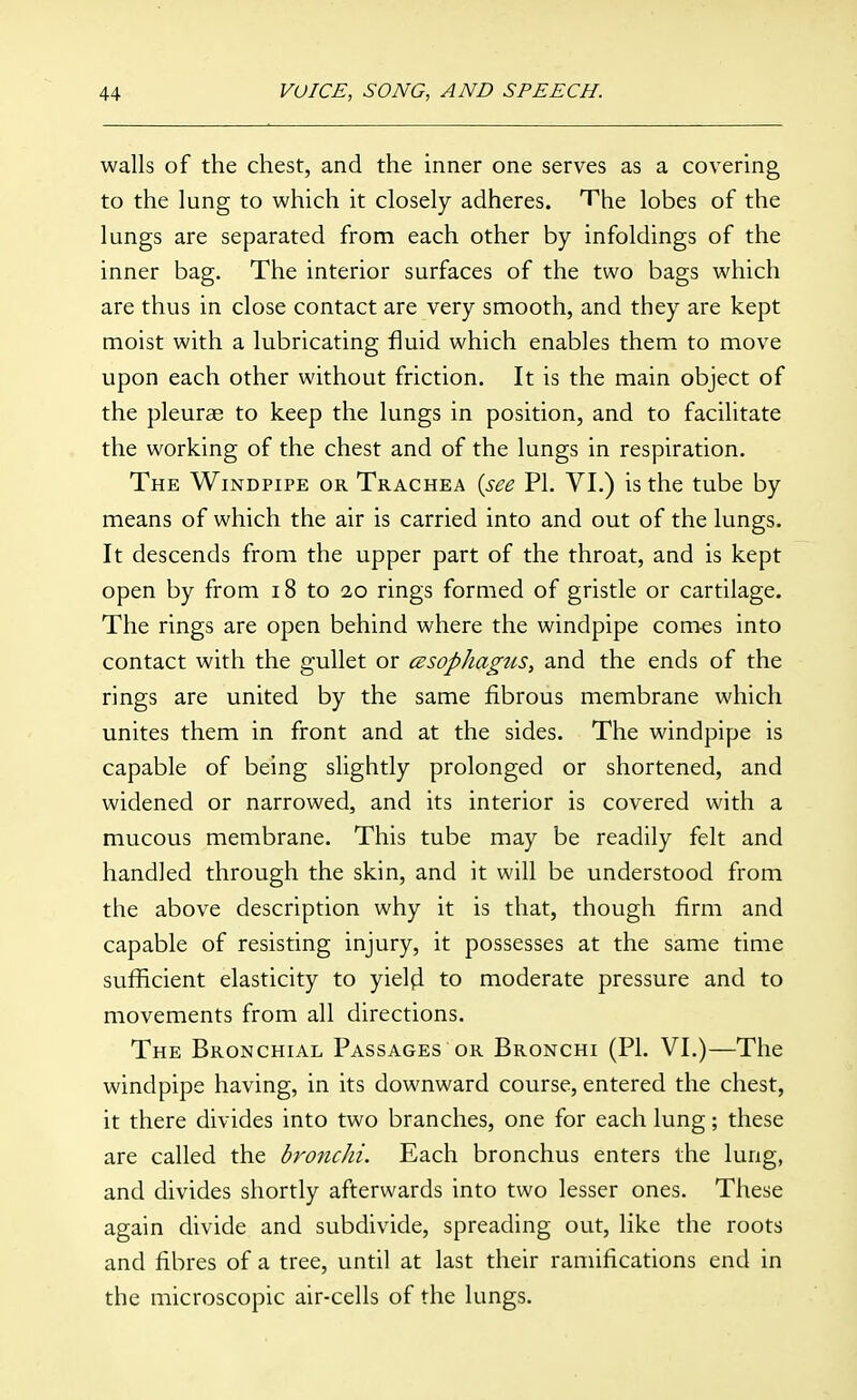 walls of the chest, and the inner one serves as a covering to the lung to which it closely adheres. The lobes of the lungs are separated from each other by infoldings of the inner bag. The interior surfaces of the two bags which are thus in close contact are very smooth, and they are kept moist with a lubricating fluid which enables them to move upon each other without friction. It is the main object of the pleurae to keep the lungs in position, and to facilitate the working of the chest and of the lungs in respiration. The Windpipe or Trachea {see PI. VI.) is the tube by means of which the air is carried into and out of the lungs. It descends from the upper part of the throat, and is kept open by from 18 to 20 rings formed of gristle or cartilage. The rings are open behind where the windpipe comes into contact with the gullet or cesophagus, and the ends of the rings are united by the same fibrous membrane which unites them in front and at the sides. The windpipe is capable of being slightly prolonged or shortened, and widened or narrowed, and its interior is covered with a mucous membrane. This tube may be readily felt and handled through the skin, and it will be understood from the above description why it is that, though firm and capable of resisting injury, it possesses at the same time sufficient elasticity to yiel^i to moderate pressure and to movements from all directions. The Bronchial Passages or Bronchi (PI. VI.)—The windpipe having, in its downward course, entered the chest, it there divides into two branches, one for each lung; these are called the bronchi. Each bronchus enters the lung, and divides shortly afterwards into two lesser ones. These again divide and subdivide, spreading out, like the roots and fibres of a tree, until at last their ramifications end in the microscopic air-cells of the lungs.
