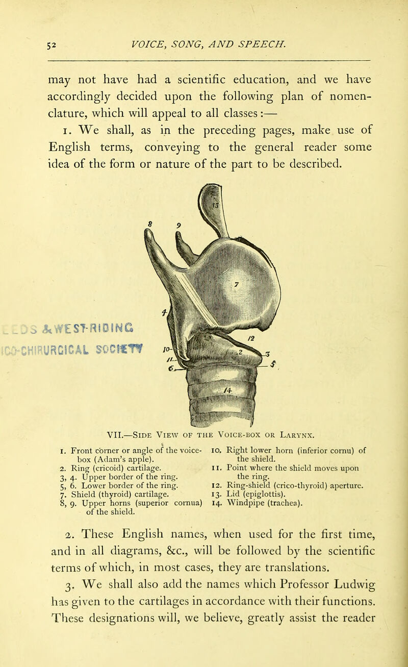 may not have had a scientific education, and we have accordingly decided upon the following plan of nomen- clature, which will appeal to all classes:— I. We shall, as in the preceding pages, make use of English terms, conveying to the general reader some idea of the form or nature of the part to be described. VII.—Side View of the Voice-box or Larynx. 1. Front corner or angle of the voice- lO. Right lower horn (inferior cornu) of box (Adam's apple). the shield. 2. Ring (cricoid) cartilage. ll. Point where the shield moves upon 3. 4. Upper border of the ring. the ring. 5,6. Lower border of the ring. 12. Ring-shield (crico-thyroid) aperture. 7. Shield (thyroid) cartilage. 13. Lid (epiglottis). 8, 9. Upper horns (superior cornua) 14. Windpipe (trachea). of the shield. 2. These English names, when used for the first time, and in all diagrams, &c., will be followed by the scientific terms of which, in most cases, they are translations. 3. We shall also add the names which Professor Ludwig has given to the cartilages in accordance with their functions. These designations will, we believe, greatly assist the reader