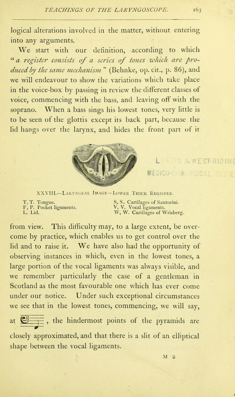 logical alterations involved in the matter, without entering into any arguments. We start with our definition, according to which  a register consists of a series of tones which are pro- dzLcedby the same mechanism  (Behnke, op. cit., p. 86), and we will endeavour to show the variations which take place in the voice-box by passing in review the different classes of voice, commencing with the bass, and leaving off with the soprano. When a bass sings his lowest tones, very little is to be seen of the glottis except its back part, because the lid hangs over the larynx, and hides the front part of it . L . .VYES.7-RIDINC WEOICO-CHIR^iKCfCAL XXVIII.—Laryngeal Image—Lower Thick Register. T, T. Tongue. S, S. Cartilages of Santorini. P, P. Pocket ligaments. V, V. Vocal ligaments. L. Lid. W, W. Cartilages of Wrisberg. from view. This difficulty may, to a large extent, be over- come by practice, which enables us to get control over the lid and to raise it. We have also had the opportunity of observing instances in which, even in the lowest tones, a large portion of the vocal ligaments was always visible, and we remember particularly the case of a gentleman in Scotland as the most favourable one v/hich has ever come under our notice. Under such exceptional circumstances we see that in the lowest tones, commencing, we will say, at ^ J , the hindermost points of the pyramids are closely approximated, and that there is a slit of an elliptical shape between the vocal ligaments. M 2