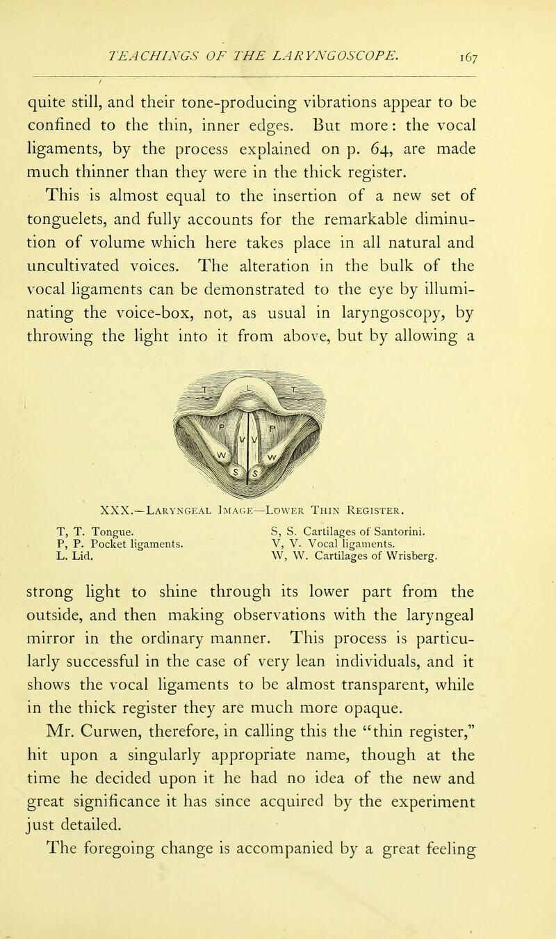 quite still, and their tone-producing vibrations appear to be confined to the thin, inner edges. But more: the vocal ligaments, by the process explained on p. 64, are made much thinner than they were in the thick register. This is almost equal to the insertion of a new set of tonguelets, and fully accounts for the remarkable diminu- tion of volume which here takes place in all natural and uncultivated voices. The alteration in the bulk of the vocal ligaments can be demonstrated to the eye by illumi- nating the voice-box, not, as usual in laryngoscopy, by throwing the light into it from above, but by allowing a XXX.—Laryngeal Imac.e—Lower Thin Register. T, T. Tongue. S, S. Cartilages of Santorini. P, P. Pocket ligaments. V, V. Vocal ligaments. L. Lid. W, W. Cartilages of Wrisberg. strong light to shine through its lower part from the outside, and then making observations with the laryngeal mirror in the ordinary manner. This process is particu- larly successful in the case of very lean individuals, and it shows the vocal ligaments to be almost transparent, while in the thick register they are much more opaque. Mr. Curwen, therefore, in calling this the thin register, hit upon a singularly appropriate name, though at the time he decided upon it he had no idea of the new and great significance it has since acquired by the experiment just detailed. The foregoing change is accompanied by a great feeling