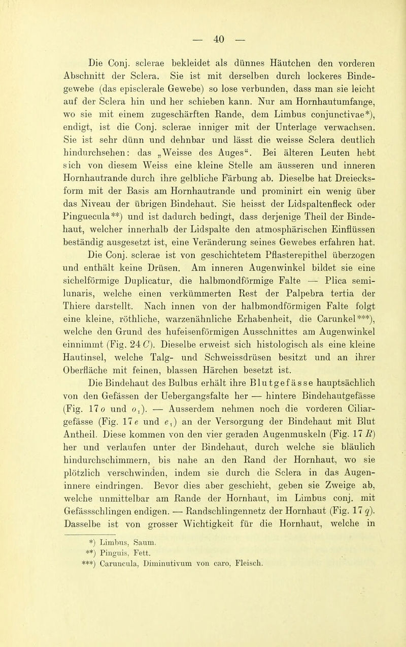 Die Conj. scleras bekleidet als diinnes Hautchen den vorderen Abschnitt der Sclera. Sie ist mit derselben durch lockeres Binde- gewebe (das episclerale Gewebe) so lose verbunden, dass man sie leicht auf der Sclera bin und her schieben kann. Nur am Hornhautumfange, wo sie mit einem zugescharften Rande, dem Limbus conjunctivae*), endigt, ist die Conj. scleras inniger mit der Unterlage verwachsen. Sie ist sehr diinn und dehnbar und lasst die weisse Sclera deutlich hindurchsehen: das „Weisse des Auges. Bei alteren Leuten hebt sich von diesem Weiss eine kleine Stelle am ausseren und inneren Hornhautrande durch ihre gelbliche Farbung ab. Dieselbe hat Dreiecks- form mit der Basis am Hornhautrande und prominirt ein w^enig iiber das Niveau der iibrigen Bindehaut. Sie heisst der Lidspaltenfleck oder Pinguecula**) und ist dadurch bedingt, dass derjenige Theil der Binde- haut, welcher innerhalb der Lidspalte den atmospharischen Einfliissen bestandig ausgesetzt ist, eine Veranderung seines Gewebes erfahren hat. Die Conj. sclerae ist von geschichtetem Pflasterepithel iiberzogen und enthalt keine Driisen. Am inneren Augenwinkel bildet sie eine sichelformige Duplicatur, die halbmondformige Falte — Plica semi- lunaris, welche einen verkiimmerten Rest der Palpebra tertia der Thiere darstellt. Nach innen von der halbmondformigen Falte folgt eine kleine, rothliche, warzenahnliche Erhabenheit, die Carunkel***), welche den Grund des hufeisenformigen Ausschnittes am Augenwinkel einnimmt (Fig. 24 C). Dieselbe erweist sich histologisch als eine kleine Hautinsel, welche Talg- und Schweissdriisen besitzt und an ihrer Oberflache mit feinen, blassen Harchen besetzt ist. Die Bindehaut des Bulbus erhalt ihre Blutgefasse hauptsachlich von den Gefassen der Uebergangsfalte her — hintere Bindehautgefasse (Fig. 17 0 und o,). — Ausserdem nehmen noch die vorderen Ciliar- gefasse (Fig. 17e und e,) an der Versorgung der Bindehaut mit Blut Antheil. Diese kommen von den vier geraden Augenmuskeln (Fig. 17 .ff) her und verlaufen unter der Bindehaut, durch welche sie blaulich hindurchschimmern, bis nahe an den Rand der Hornhaut, wo sie plotzlich verschwinden, indem sie durch die Sclera in das Augen- innere eindringen. Bevor dies aber geschieht, geben sie Zweige ab, welche unmittelbar am Rande der Hornhaut, im Limbus conj. mit Gefassschlingen endigen. — Randschlingennetz der Hornhaut (Fig. 17 q). Dasselbe ist von grosser Wichtigkeit fiir die Hornhaut, welche in *) Limbus, Saiim. **) Pinguis, Fett. ***) Caruncula, Diminutivum von caro, Fleiscli.