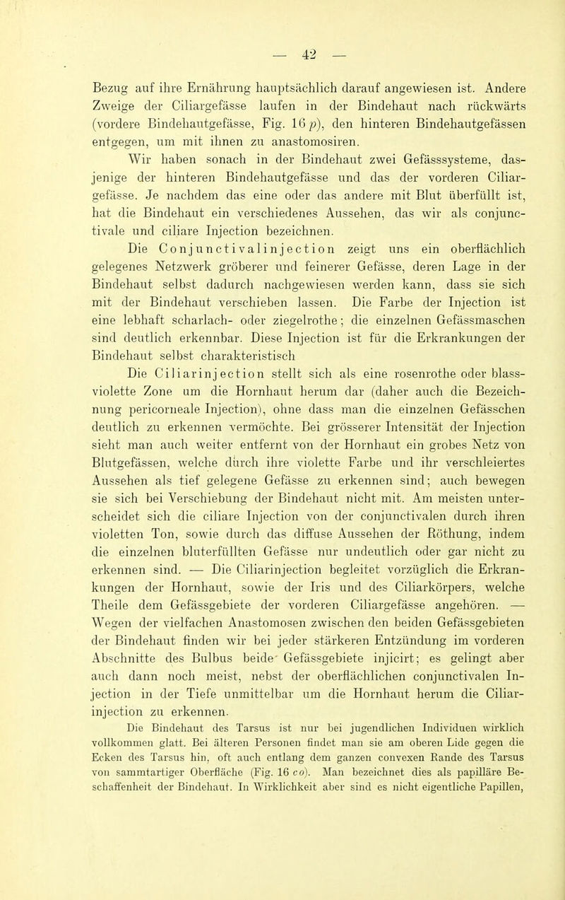 Bezug auf ihre Ernahrung hauptsachlich darauf angewiesen ist. Andere Zweige der Ciliargefasse laufen in der Bindehaut nach ruckwarts (vordere Bindeliautgefasse, Fig. 16/j), den hinteren Bindehautgefassen entgegen, um mit ihnen zu anastomosiren. Wir haben sonach in der Bindehaut zwei Gefasssysteme, das- jenige der hinteren Bindehautgefasse und das der vorderen Ciliar- gefasse. Je nachdem das eine oder das andere mit Blut iiberfiillt ist, hat die Bindehaut ein verschiedenes Aussehen, das wir als conjunc- tivale und ciliare Injection bezeichnen. Die Conjunctivalinjection zeigt uns ein oberflachlich gelegenes Netzwerk groberer und feinerer Gefasse, deren Lage in der Bindehaut selbst dadarch nachgewiesen werden kann, dass sie sich mit der Bindehaut verschieben lassen. Die Farbe der Injection ist eine lebhaft scharlach- oder ziegelrothe; die einzelnen Gefassmaschen sind deutlich erkennbar. Diese Injection ist fiir die Erkrankungen der Bindehaut selbst charakteristisch Die Ci] iarinj ection stellt sich als eine rosenrothe oder blass- violette Zone um die Hornhaut herum dar (daher audi die Bezeich- nung pericorneale Injection), ohne dass man die einzelnen Gefasschen deutlich zu erkennen ^ermochte. Bei grosserer Intensitat der Injection sieht man audi weiter entfernt von der Hornhaut ein grobes Netz von Blutgefassen, welche durcli ihre violette Farbe und ihr verschleiertes Aussehen als tief gelegene Gefasse zu erkennen sind; auch bewegen sie sich bei Verschiebung der Bindehaut nicht mit. Am meisten unter- scheidet sich die ciliare Injection von der conjunctivalen durch ihren violetten Ton, sowie durch das diffuse Aussehen der Rothung, indem die einzelnen bluterfiiUten Gefasse nur undeutlich oder gar nicht zu erkennen sind. — Die Ciliarinjection begleitet vorziiglich die Erkran- kungen der Hornhaut, sowie der Iris und des Ciliarkorpers, welche Theile dem Gefassgebiete der vorderen Ciliargefasse angehoren. — Wegen der vielfachen Anastomosen zwischen den beiden Gefas.sgebieten der Bindehaut finden wir bei jeder starkeren Entziindung im vorderen Abschnitte des Bulbus beide' Gefassgebiete injicirt; es gelingt aber auch dann noch meist, nebst der oberfliichlichen conjunctivalen In- jection in der Tiefe unmittelbar um die Hornhaut herum die Ciliar- injection zu erkennen. Die Bindehaut des Tarsus ist nur bei jugendlichen Individuen wirklich vollkommen glatt. Bei iilteren Personen findet man sie am oberen Lide gegen die Ecken des Tarsus bin. oft auch entlang dem ganzen convexen Rande des Tarsus von sammtartiger Oberflache (Fig. 16 co). Man bezeichnet dies als papillare Be- schaffenheit der Bindehaut. In Wirklichkeit aber sind es nicht eigentliche Papillen,