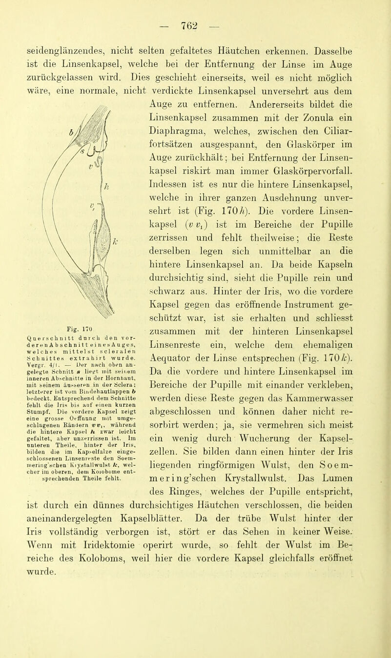 seidenglanzendes, nicht selten gefaltetes Hautchen erkennen. Dasselbe ist die Linsenkapsel, welche bei der Entfernung der Linse im Auge zuriickgelassen Avird. Dies geschieht einerseits, weil es nicht moglich ware, eine normale, nicht verdickte Linsenkapsel unversehrt aus dem Auge zu entfernen. Andererseits bildet die Linsenkapsel zusammen mit der Zonula ein Diaphragma, welches, zwischen den Ciliar- foi'tsatzen ausgespannt, den Glaskorper im Auge zuriickhalt; bei Entfernung der Linsen- kapsel riskirt man immer Glaskorpervorfall. Lidessen ist es nur die hintere Linsenkapsel, welche in ihrer ganzen Ausdehnung unver- sehrt ist (Fig. 170 A). Die vordere Linsen- kapsel (fVi) ist im Bereiche der Pupille zerrissen und fehlt theilweise; die Reste derselben legen sich unmittelbar an die hintere Linsenkapsel an. Da beide Kapseln durchsichtig sind, sieht die Pupille rein und schwarz aus. Hinter der Iris, wo die vordere Kapsel gegen das eroffnende Instrument ge- schiitzt war, ist sie erhalten und schliesst zusammen mit der hinteren Linsenkapsel Linsenreste ein, welche dem ehemaligen Aequator der Linse entsprechen (Fig. 170/i;). Da die vordere und hintere Linsenkapsel im Bereiche der Pupille mit einander verkleben, warden diese Reste gegen das Kammerwasser abgeschlossen und konnen daher nicht re- sorbirt werden; ja, sie vermehren sich meist ein wenig durch Wucherung der Kapsel- zellen. Sie bilden dann einen hinter der Iris liegenden ringformigen Wulst, den Soem- m e r i n g'schen Kiystallwulst. Das Lumen des Ringes, welches der Pupille entspricht, ist durch ein diinnes durchsichtiges Hautchen verschlossen, die beiden aneinandergelegten Kapselbliitter. Da der triibe Wulst hinter der Iris vollstandig verborgen ist, stort er das Sehen in keiner Weise. Wenn mit Iridektomie operirt wurde, so fehlt der Wulst im Be- reiche des Koloboms, weil hier die vordere Kapsel gleichfalls eroff'net wurde. Fig. 170 Qnerschiiitt dnrcli den vor- derenAbschnitt einesAuges, welches mittelst scleiiileii Schnittert extrahirt wurde. Vergr. 4/l. — Uer imch oben an- gelegte Scbnitt » Het't mit seiiiem inneren Abschnitte in der Hornhant, mit seinem au.-^berpn in der Sclera: letzterer i.st vuin Bindehautlappen b bedeckt. Entsprechend dem Scbnitte febll die Iris bis anf einen knrzen Stnmpf. Die vordere Kapsel zeigt eine grosse OffFnnnt; init urage- scblageneii Kiindern vv,, wiihrend die hintere Kapsel h zwar leicht gefaltet, aber unztrrissen ist. Im nnleren Theile. hinter der Iris, bilden die im Kapselfaize eiuge- schlossenen Linsenreste den Soem- niering'tichen Kiystallwulst wel- cher iin oberen, deui Koiobome ent- sprechenden Theile fehlt.