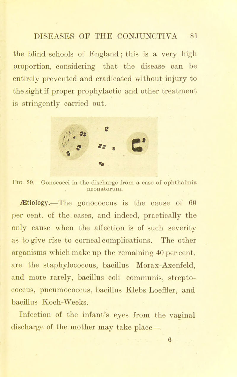 the blind schools of England; this is a very high proportion, considering that the disease can be entirely prevented and eradicated without injury to the sight if proper prophylactic and other treatment is stringently carried out. Fig. 29.—Gonococci in the discharge from a case of ophthahnia neonatorum. .ffitiology.—The gonococcus is the cause of 60 per cent, of the. cases, and indeed, practically the only cause when the affection is of such severity as to give rise to corneal complications. The other organisms which make up the remaining 40 per cent, are the staphylococcus, bacillus Morax-Axenfeld, and more rarely, bacillus coli communis, strepto- coccus, pneumococcus, bacillus Klebs-Loefiier, and bacillus Koch-Weeks. Infection of the infant's eyes from the vaginal discharge of the mother may take place— 6