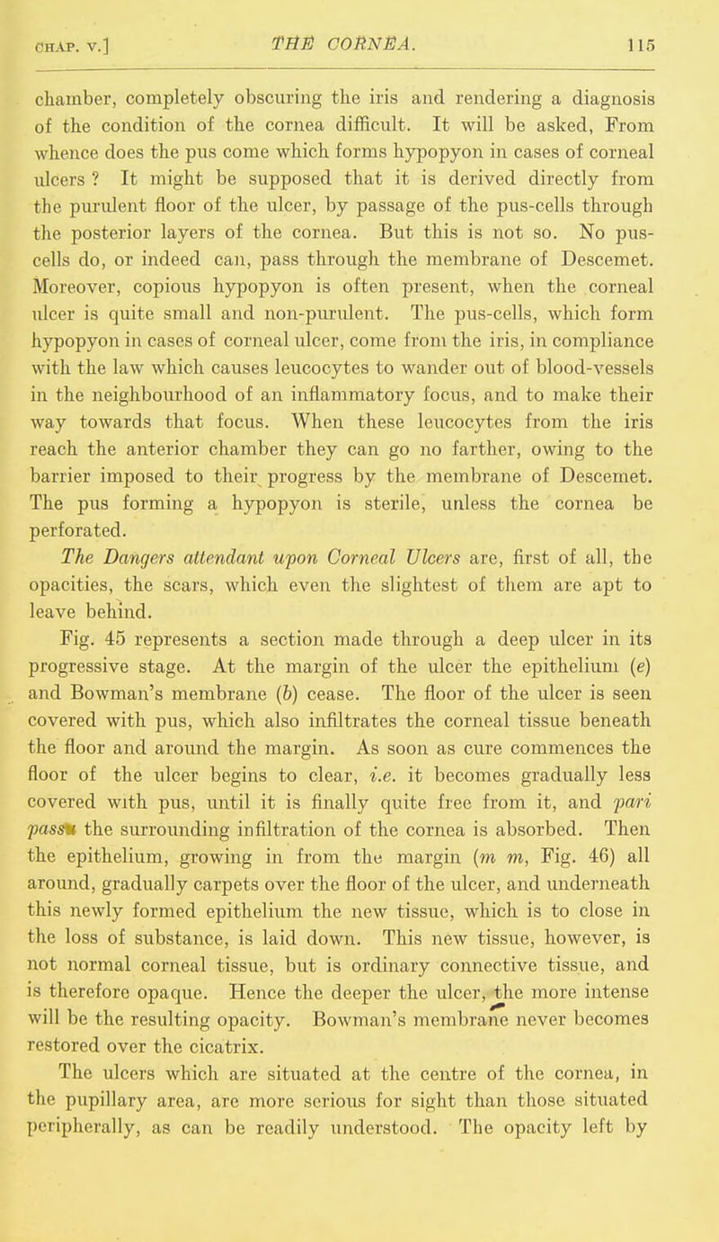 chamber, completely obscuring the iris and rendering a diagnosis of the condition of the cornea difficult. It will be asked, From whence does the pus come which forms hypopyon in cases of corneal ulcers ? It might be supposed that it is derived directly from the purulent floor of the ulcer, by passage of the pus-cells through the posterior layers of the cornea. But this is not so. No pus- cells do, or indeed can, pass through the membrane of Descemet. Moreover, copious hypopyon is often present, when the corneal ulcer is quite small and non-purulent. The pus-cells, which form hypopyon in cases of corneal ulcer, come from the iris, in compliance with the law which causes leucocytes to wander out of blood-vessels in the neighbourhood of an inflammatory focus, and to make their way towards that focus. When these leucocytes from the iris reach the anterior chamber they can go no farther, owing to the barrier imposed to their progress by the membrane of Descemet. The pus forming a hypopyon is sterile, unless the cornea be perforated. The Bangers attendant upon Corneal Ulcers are, first of all, the opacities, the scars, which even the slightest of them are apt to leave behind. Fig. 45 represents a section made through a deep ulcer in its progressive stage. At the margin of the ulcer the epithelium (e) and Bowman's membrane (b) cease. The floor of the ulcer is seen covered with pus, which also infiltrates the corneal tissue beneath the floor and around the margin. As soon as cure commences the floor of the ulcer begins to clear, i.e. it becomes gradually less covered with pus, until it is finally quite free from it, and pari passn the surrounding infiltration of the cornea is absorbed. Then the epithelium, growing in from the margin (m m, Fig. 46) all around, gradually carpets over the floor of the ulcer, and underneath this newly formed epithelium the new tissue, which is to close in the loss of substance, is laid down. This new tissue, however, is not normal corneal tissue, but is ordinary connective tissue, and is therefore opaque. Hence the deeper the ulcer, the more intense will be the resulting opacity. Bowman's membrane never becomes restored over the cicatrix. The ulcers which are situated at the centre of the cornea, in the pupillary area, are more serious for sight than those situated peripherally, as can be readily understood. The opacity left by