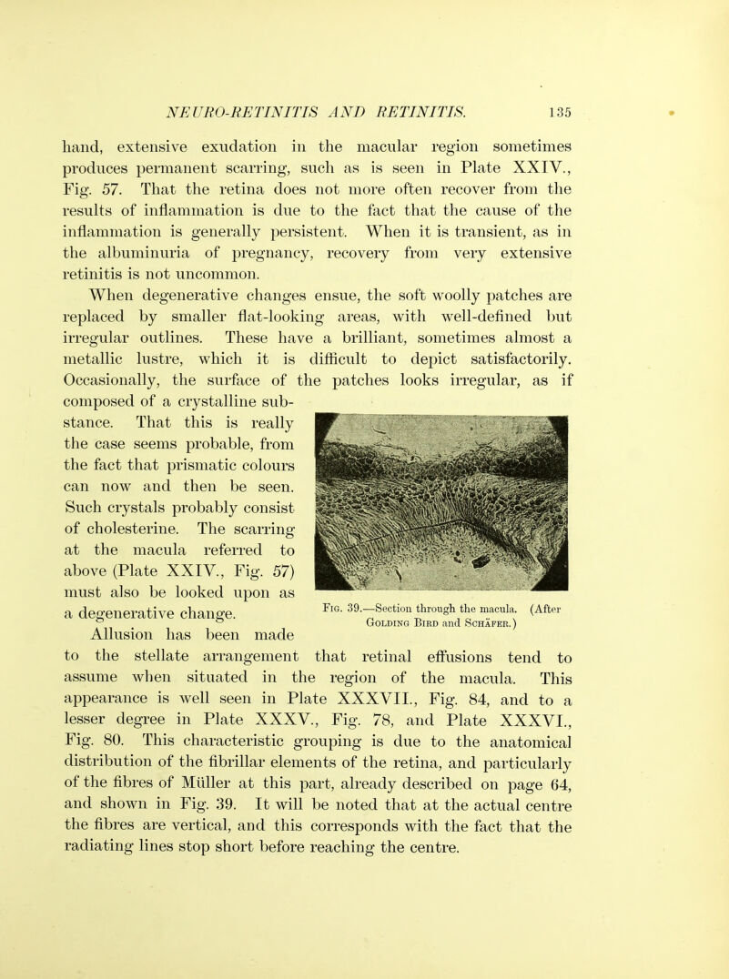 hand, extensive exudation in the macular region sometimes produces permanent scarring, such as is seen in Plate XXIV., Fig. 57. That the retina does not more often recover from the results of inflammation is due to the fact that the cause of the inflammation is generally persistent. When it is transient, as in the albuminuria of pregnancy, recovery from very extensive retinitis is not uncommon. When degenerative changes ensue, the soft woolly patches are replaced by smaller flat-looking areas, with well-defined but irregular outlines. These have a brilliant, sometimes almost a metallic lustre, which it is difficult to depict satisfactorily. Occasionally, the surface of the patches looks irregular, as if composed of a crystalline sub- stance. That this is really the case seems probable, from the fact that prismatic colours can now and then be seen. Such crystals probably consist of cholesterine. The scarring at the macula referred to above (Plate XXIV., Fig. 57) must also be looked upon as a degenerative change. Allusion has been made to the stellate arrangement that retinal effusions tend to assume when situated in the region of the macula. This appearance is well seen in Plate XXXVII., Fig. 84, and to a lesser degree in Plate XXXV., Fig. 78, and Plate XXXVL, Fig. 80. This characteristic grouping is due to the anatomical distribution of the fibrillar elements of the retina, and particularly of the fibres of Miiller at this part, already described on page 64, and shown in Fig. 39. It will be noted that at the actual centre the fibres are vertical, and this corresponds with the fact that the radiating lines stop short before reaching the centre. Fig. 39.—Section through the macula. (After GoLDiNG Bird and Schafer.)