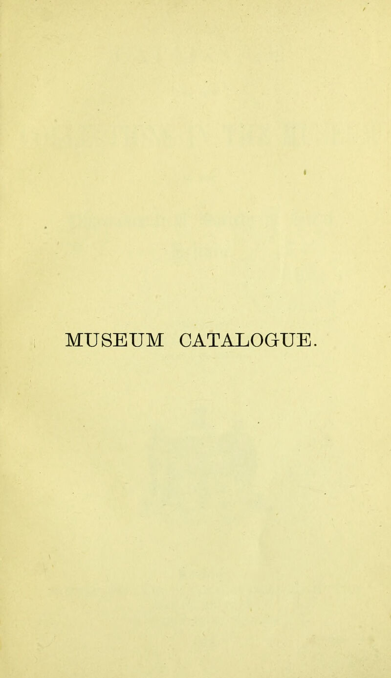 MUSEUM CATALOGUE.