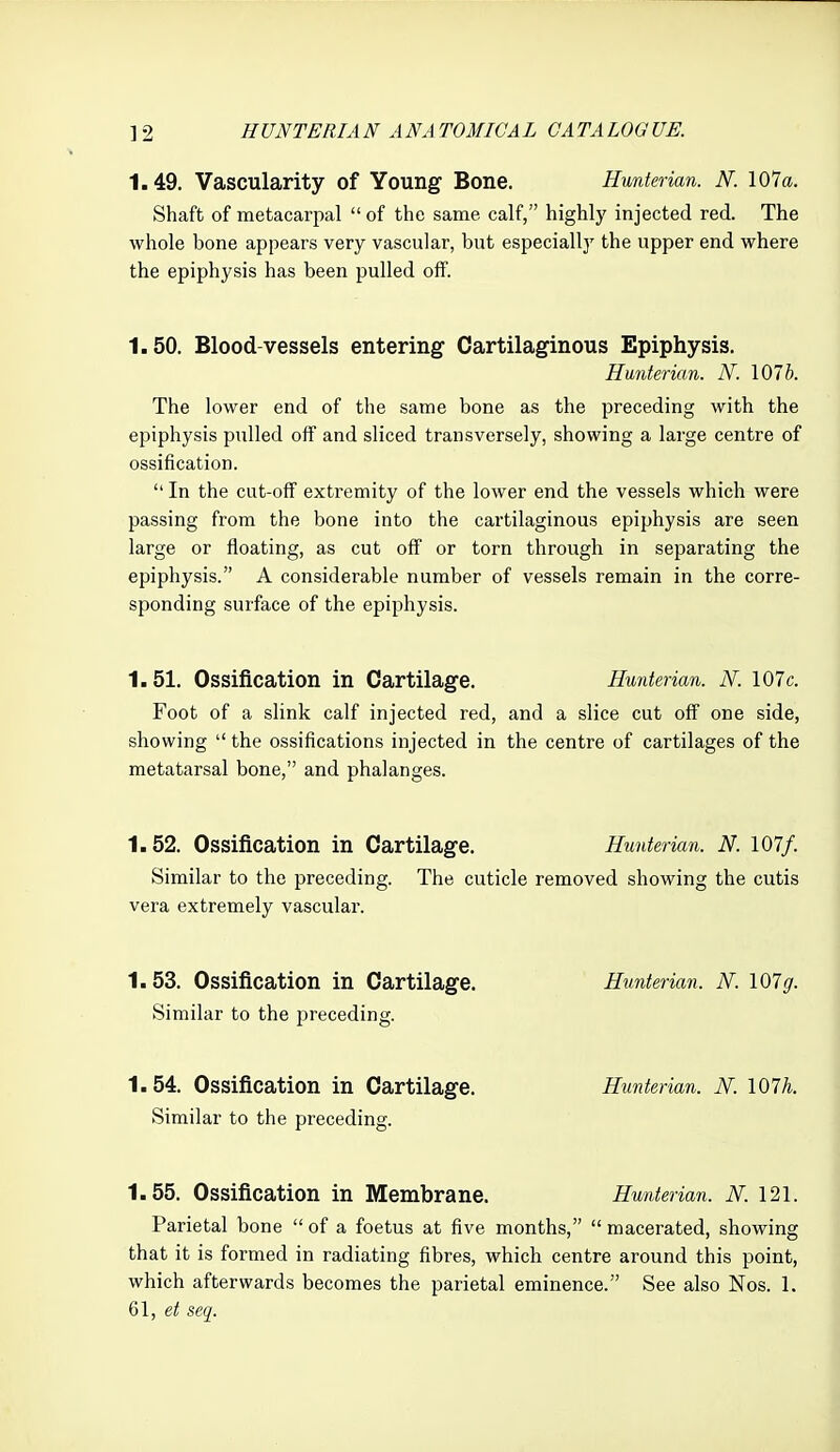 1.49. Vascularity of Young Bone. Hunterian. N. \01a. Shaft of metacarpal  of the same calf, highly injected red. The whole bone appears very vascular, but especially the upper end where the epiphysis has been pulled off. 1.50. Blood-vessels entering Cartilaginous Epiphysis. Hunterian. N. 107&. The lower end of the same bone as the preceding with the epiphysis pulled off and sliced transversely, showing a large centre of ossification.  In the cut-off extremity of the lower end the vessels which were passing from the bone into the cartilaginous epiphysis are seen large or floating, as cut off or torn through in separating the epiphysis. A considerable number of vessels remain in the corre- sponding surface of the epiphysis. 1.51. Ossification in Cartilage. Hunterian. N. 107c. Foot of a slink calf injected red, and a slice cut off one side, showing  the ossifications injected in the centre of cartilages of the metatarsal bone, and phalanges. 1.52. Ossification in Cartilage. Hunterian. N. 107/. Similar to the preceding. The cuticle removed showing the cutis vera extremely vascular. 1.53. Ossification in Cartilage. Hunterian. N. 107g. Similar to the i^receding. 1.54. Ossification in Cartilage. Hunterian. N. I07h. Similar to the preceding. 1.55. Ossification in Membrane. Hunterian. N. 121. Parietal bone  of a foetus at five months,  macerated, showing that it is formed in radiating fibres, which centre around this point, which afterwards becomes the parietal eminence. See also Nos. 1. Q\, et seq.