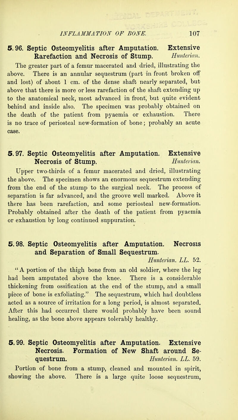 5.96. Septic Osteomyelitis after Amputation. Extensive Rarefaction and Necrosis of Stump. Hunkrian. The greater part of a femur macerated and dried, illustrating the above. There is an annular sequestrum (part in front broken off and lost) of about 1 cm. of the dense shaft nearly separated, but above that there is more or less rarefaction of the shaft extending up to the anatomical neck, most advanced in front, but quite evident behind and inside also. The specimen was probably obtained on the death of the patient from pyaemia or exhaustion. There is no trace of periosteal new-formation of bone; probably an acute case. 5.97. Septic Osteomyelitis after Amputation. Extensive Necrosis of Stump. Hunterian. Upper two-thirds of a femur macerated and dried, illustrating the above. The specimen shows an enormous sequestrum extending from the end of the stump to the surgical neck. The process of separation is far advanced, and the groove well marked. Above it there has been rarefaction, and some periosteal new-formation. Probably obtained after the death of the patient from pyaemia or exhaustion by long continued suppuration. 5.98. Septic Osteomyelitis after Amputation. Necrosis and Separation of Small Sequestrum. Hunterian. LL. 52. A portion of the thigh bone from an old soldier, where the leg had been amputated above the knee. There is a considerable thickening from ossification at the end of the stump, and a small piece of bone is exfoliating. The sequestrum, which had doubtless acted as a source of irritation for a long period, is almost separated. After this had occurred there would probably have been sound healing, as the bone above appears tolerably healthy. 5.99. Septic Osteomyelitis after Amputation. Extensive Necrosis. Formation of New Shaft around Se- questrum. Hunterian. LL. 59. Portion of bone from a stump, cleaned and mounted in spirit, showing the above. There is a large quite loose sequestrum,