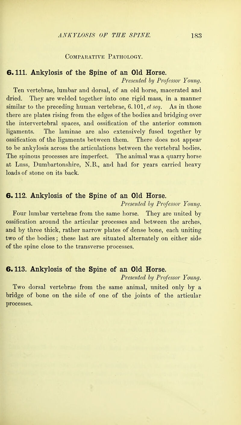 Comparative Pathology. 6. 111. Ankylosis of the Spine of an Old Horse. Presented by Professor Young. Ten vertebrae, lumbar and dorsal, of an old horse, macerated and dried. They are welded together into one rigid mass, in a manner similar to the preceding human vertebrae, 6.101, seq. As in those there are plates rising from the edges of the bodies and bridging over the intervertebral spaces, and ossification of the anterior common ligaments. The laminae are also extensively fused together by ossification of the ligaments between them. There does not appear to be ankylosis across the articulations between the vertebral bodies. The spinous processes are imperfect. The animal was a quarry horse at Luss, Dumbartonshire, N.B., and had for years carried heavy loads of stone on its back. 6.112. Ankylosis of the Spine of an Old Horse. Presented by Professor Young. Four lumbar vertebrae from the same horse. They are united by ossification around the articular processes and between the arches, and by three thick, rather narrow plates of dense bone, each uniting two of the bodies; these last are situated alternately on either side of the spine close to the transverse processes. 6.113. Ankylosis of the Spine of an Old Horse. Presented by Professor Young. Two dorsal vertebrae from the same animal, united only by a bridge of bone on the side of one of the joints of the articular processes.