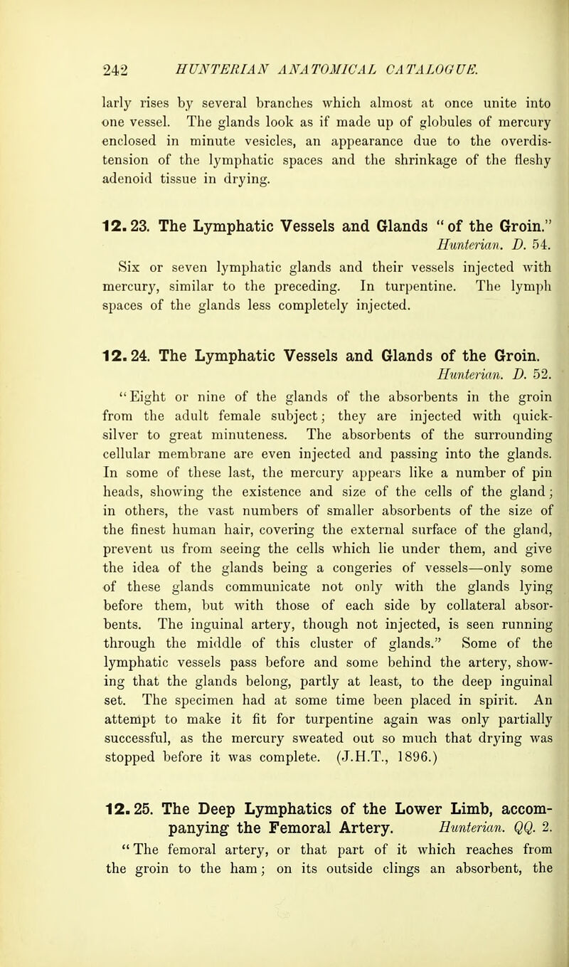 larly rises by several branches which ahnost at once unite into one vessel. The glands look as if made up of globules of mercury enclosed in minute vesicles, an appearance due to the overdis- tension of the lymphatic spaces and the shrinkage of the fleshy adenoid tissue in drying. 12.23. The Lymphatic Vessels and Glands of the Groin. Hunterian. D. 54. Six or seven lymphatic glands and their vessels injected with mercury, similar to the preceding. In turpentine. The lympli spaces of the glands less completely injected. 12.24. The Lymphatic Vessels and Glands of the Groin. Hunterian. D. 52. Eight or nine of the glands of the absorbents in the groin from the adult female subject; they are injected with quick- silver to great minuteness. The absorbents of the surrounding cellular membrane are even injected and passing into the glands. In some of these last, the mercury appears like a number of pin heads, showing the existence and size of the cells of the gland; in others, the vast numbers of smaller absorbents of the size of the finest human hair, covering the external surface of the gland, prevent us from seeing the cells which lie under them, and give the idea of the glands being a congeries of vessels—only some of these glands communicate not only with the glands lying before them, but with those of each side by collateral absor- bents. The inguinal artery, though not injected, is seen running through the middle of this cluster of glands. Some of the lymphatic vessels pass before and some behind the artery, show- ing that the glands belong, partly at least, to the deep inguinal set. The specimen had at some time been placed in spirit. An attempt to make it fit for turpentine again was only partially successful, as the mercury sweated out so much that drying was stopped before it was complete. (J.H.T., 1896.) 12.25. The Deep Lymphatics of the Lower Limb, accom- panying the Femoral Artery. Hunterian. QQ. 2.  The femoral artery, or that part of it which reaches from the groin to the ham; on its outside clings an absorbent, the