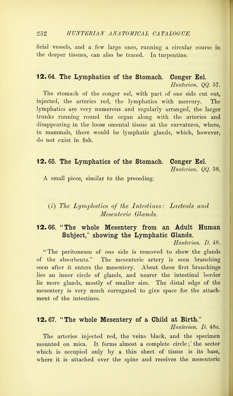 ficial vessels, and a few large ones, running a circular course in the deeper tissues, can also be traced. In turpentine. 12.64. The Lymphatics of the Stomach. Conger Eel. Hunterian. QQ. 57. The stomach of the conger eel, with part of one side cut out, injected, the arteries red, the lymphatics with mercury. The lymphatics are very numerous and regularly arranged, the larger trunks running round the organ along with the arteries and disappearing in the loose omental tissue at the curvatures, where, in mammals, there would be lymphatic glands, which, however, do not exist in fish. 12.65. The Lymphatics of the Stomach. Conger Eel. Hwnterian. QQ. 58. A small piece, similar to the preceding. (i) The Lymphatics of the Intestines: Lacteals and Mesenteric Glands. 12.66. The whole Mesentery from an Adult Human Subject, showing the Lymphatic Glands. Hunterian. D. 48.  The peritoneum of one side is removed to show the glands of the absorbents. The mesenteric artery is seen branching soon after it enters the mesentery. About these first branchings lies an inner circle of glands, and nearer the intestinal border lie more glands, mostly of smaller size. The distal edge of the mesentery is very much corrugated to give space for the attach- ment of the intestines. 12.67. The whole Mesentery of a Child at Birth. Hunterian. D. 48a. The arteries injected red, the veins black, and the specimen mounted on mica. It forms almost a complete circle;'the sector which is occupied only by a thin sheet of tissue is its base, where it is attached over the spine and receives the mesenteric
