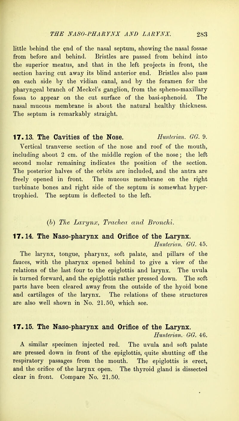 little behind the ^nd of the nasal septum, showing the nasal fossae from before and behind. Bristles are passed from behind into the superior meatus, and that in the left projects in front, the section having cut away its blind anterior end. Bristles also pass on each side by the vidian canal, and by the foramen for the pharyngeal branch of Meckel's ganglion, from the spheno-maxillary fossa to appear on the cut surface of the basi-sphenoid. The nasal mucous membrane is about the natural healthy thickness. The septum is remarkably straight. 17.13. The Cavities of the Nose. Hunterian. GG. 9. Vertical tranverse section of the nose and roof of the mouth, including about 2 cm. of the middle region of the nose; the left second molar remaining indicates the position of the section. The posterior halves of the orbits are included, and the antra are freely opened in front. The mucous membrane on the right turbinate bones and right side of the septum is somewhat hyper- trpphied. The septum is deflected to the left. (6) The Larynx, Trachea and Bronchi. 17.14. The Naso-pharynx and Orifice of the Larynx. Hunterian. GG. 45. The larynx, tongue, pharynx, soft palate, and pillars of the fauces, with the pharynx opened behind to give a view of the relations of the last four to the epiglottis and larynx. The uvula is turned forward, and the epiglottis rather pressed down. The soft parts have been cleared away from the outside of the hyoid bone and cartilages of the larynx. The relations of these structures are also well shown in No. 21.50, which see. 17.15. The Naso-pharynx and Orifice of the Larynx. Hunterian. GG. 46. A similar specimen injected red. The uvula and soft palate are pressed down in front of the epiglottis, quite shutting off the respiratory passages from the mouth. The epiglottis is erect, and the orifice of the larynx open. The thyroid gland is dissected clear in front. Compare No. 21.50.