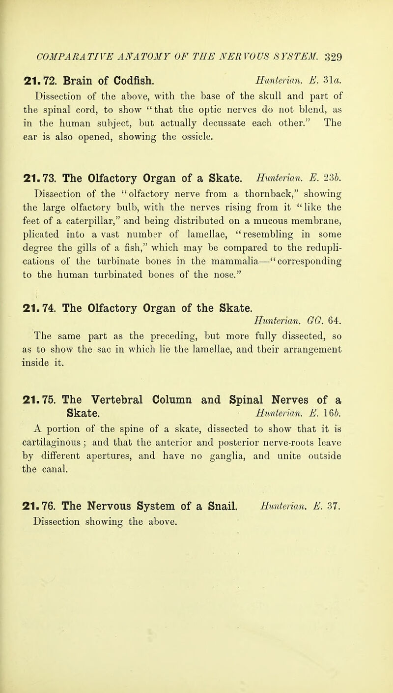21.72. Brain of Codfish. Hunterian. E. 31a. Dissection of the above, with the base of the skull and part of the spinal cord, to show that the optic nerves do not blend, as in the human subject, but actually decussate each other. The ear is also opened, showing the ossicle. 21.73. The Olfactory Organ of a Skate, Hunterian. E. 23b. Dissection of the olfactory nerve from a thornback, showing the large olfactory bulb, with the nerves rising from it  like the feet of a caterpillar, and being distributed on a mucous membrane, plicated into a vast number of lamellae, resembling in some degree the gills of a fish, which may be compared to the redupli- cations of the turbinate bones in the mammalia—corresponding to the human turbinated bones of the nose. 21.74. The Olfactory Organ of the Skate. Hunterian. GG. 64. The same part as the preceding, but more fully dissected, so as to show the sac in which lie the lamellae, and their arrangement inside it. 21.75. The Vertebral Column and Spinal Nerves of a Skate. Hunterian. E. 166. A portion of the spine of a skate, dissected to show that it is cartilaginous ; and that the anterior and posterior nerve-roots leave by different apertures, and have no ganglia, and unite outside the canal. 21.76. The Nervous System of a Snail. Himterian. E. 37. Dissection showing the above.