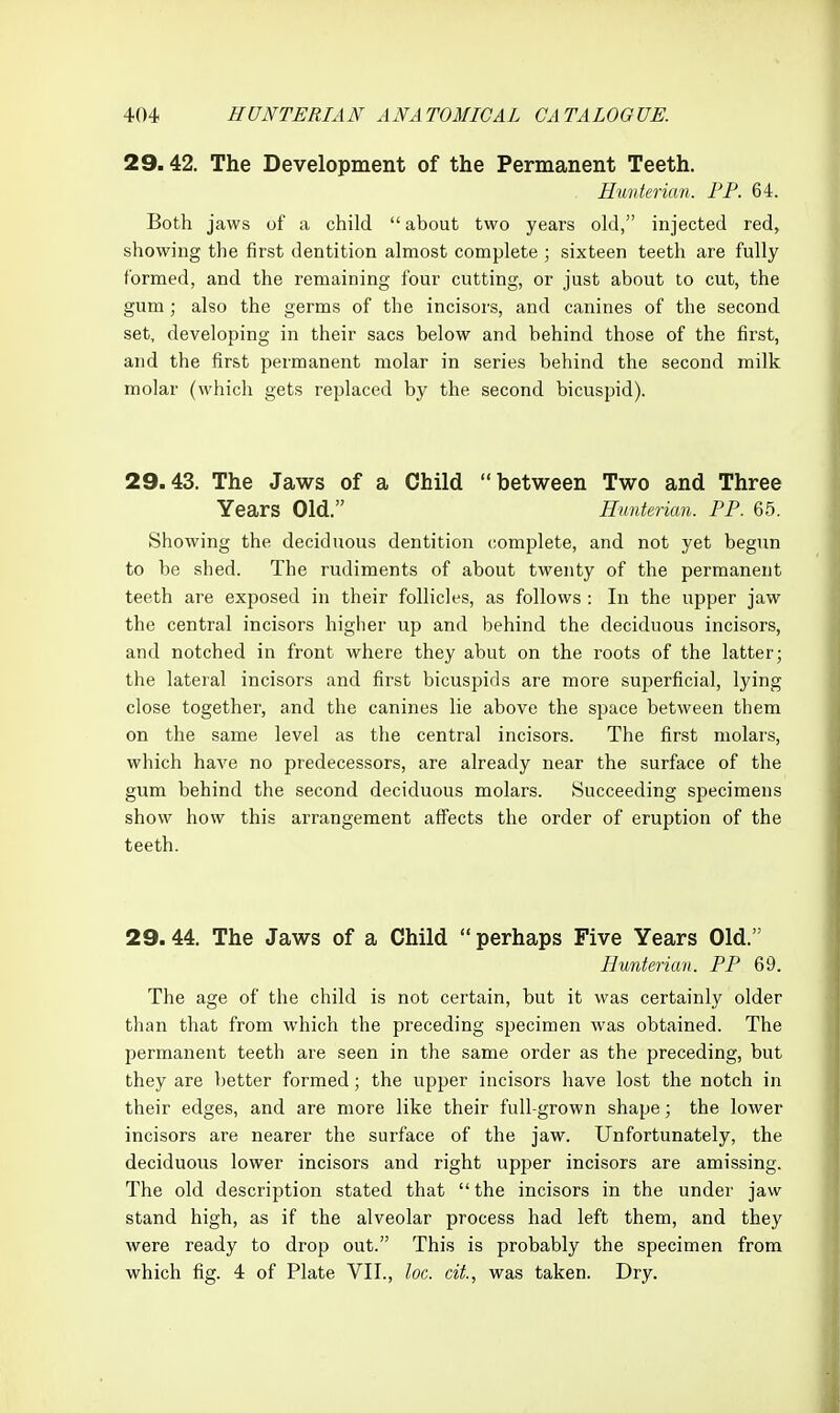 29.42. The Development of the Permanent Teeth. Runteriwn. PP. 64. Both jaws of a child  about two years old, injected red, showing the first dentition almost complete ; sixteen teeth are fully formed, and the remaining four cutting, or just about to cut, the gum ; also the germs of the incisors, and canines of the second set, developing in their sacs below and behind those of the first, and the first permanent molar in series behind the second milk molar (which gets replaced by the second bicuspid). 29.43. The Jaws of a Child between Two and Three Years Old. Huntericm. pp. 6.5. Showing the deciduous dentition complete, and not yet begun to be shed. The rudiments of about twenty of the permanent teeth are exposed in their follicles, as follows : In the upper jaw the central incisors higher up and behind the deciduous incisors, and notched in front where they abut on the roots of the latter; the lateral incisors and first bicuspids are more superficial, lying close together, and the canines lie above the space between them on the same level as the central incisors. The first molars, which have no predecessors, are already near the surface of the gum behind the second deciduous molars. Succeeding specimens show how this arrangement affects the order of eruption of the teeth. 29. 44. The Jaws of a Child  perhaps Five Years Old. Hunterian. PP 69. The age of the child is not certain, but it was certainly older than that from which the preceding specimen was obtained. The permanent teeth are seen in the same order as the preceding, but they are better formed; the upper incisors have lost the notch in their edges, and are more like their full-grown shape; the lower incisors are nearer the surface of the jaw. Unfortunately, the deciduous lower incisors and right upper incisors are amissing. The old description stated that the incisors in the under jaw stand high, as if the alveolar process had left them, and they were ready to drop out. This is probably the specimen from which fig. 4 of Plate VII., loc. cit, was taken. Dry.