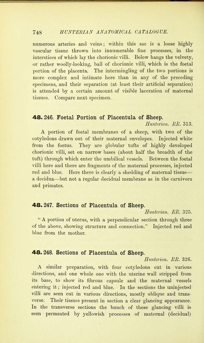 numerous arteries and veins; within this sac is a loose highly vascular tissue thrown into innumerable fine processes, in the interstices of which lay the chorionic villi. Below hangs the velvety, or rather woolly-looking, ball of chorionic villi, Avhich is the foetal portion of the placenta. The intermingling of the two portions is more complex and intimate here than in any of the preceding specimens, and their separation (at least their artificial separation) is attended by a certain amount of visible laceration of maternal tissues. Compare next specimen. 48.246. Foetal Portion of Placentula of Sheep. Himtcrian. EB. 313. A portion of foetal membranes of a sheep, with two of the cotyledons drawn out of their maternal envelopes. Injected white from the foetus. They are globular tufts of highly developed chorionic villi, set on narrow bases (about half the breadth of the tuft) through which enter the umbilical vessels. Between the foetal villi here and there are fragments of the maternal processes, injected red and blue. Here there is clearly a shedding of maternal tissue— a decidua—but not a regular decidual membrane as in the carnivora and primates. 48.247. Sections of Placentula of Sheep. Hunterian. RB. 325.  A portion of uterus, with a perpendicular section through three of the above, showing structure and connection. Injected red and blue from the mother. 48.248. Sections of Placentula of Sheep. Hunterian. RB. 326. A similar preparation, with four cotyledons cut in various directions, and one whole one with the uterine wall stripped from its base, to show its fibrous capsule and the maternal vessels entering it; injected red and blue. In the sections the uninjected villi are seen cut in various directions, mostly oblique and trans- verse. Their tissues present in section a clear glancing appearance. In the transverse sections the bunch of these glancing villi is seen permeated by yellowish processes of maternal (decidual)