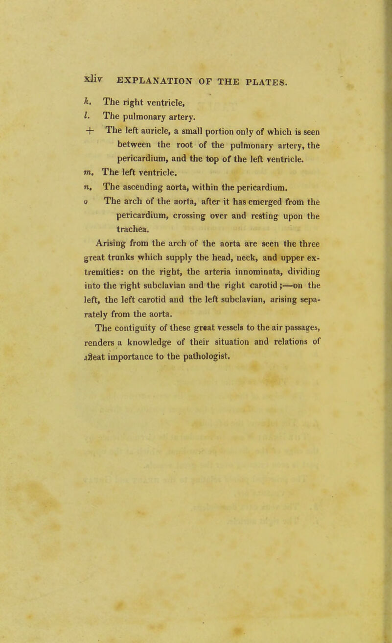ft. The right ventricle, /. The pulmonary artery. -f The left auricle, a small portion only of which is seen between the root of the pulmonary artery, the pericardium, and the top of the left ventricle. tn. The left ventricle. n. The ascending aorta, within the pericardium. o The arch of the aorta, after it has emerged from the pericardium, crossing over and resting upon the trachea. Arising from the arch of the aorta are seen the three great trunks which supply the head, neck, and upper ex- tremities: on the right, the arteria innominata, dividing into the right subclavian and the right carotid ;—on the left, the left carotid and the left subclavian, arising sepa- rately from the aorta. The contiguity of these gr«at vessels to the air passages, renders a knowledge of their situation and relations of jSeat importance to the pathologist.