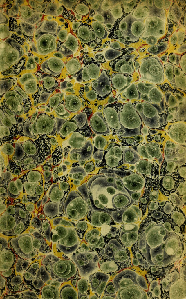 digitised image 1