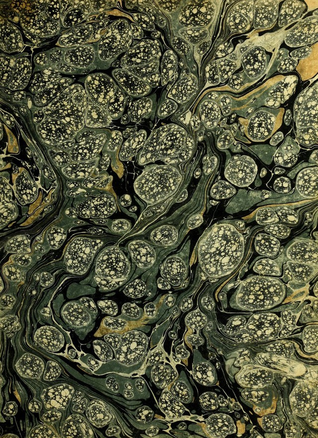 digitised image 3