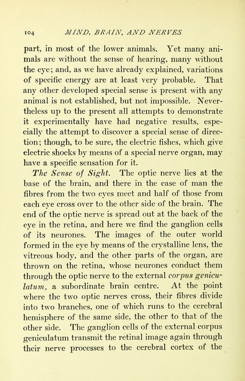 part, in most of the lower animals. Yet many ani- mals are without the sense of hearing, many without the eye; and, as we have already explained, variations of specific energy are at least very probable. That any other developed special sense is present with any animal is not established, but not impossible. Never- theless up to the present all attempts to demonstrate it experimentally have had negative results, espe- cially the attempt to discover a special sense of direc- tion ; though, to be sure, the electric fishes, which give electric shocks by means of a special nerve organ, may have a specific sensation for it. The Sense of Sight. The optic nerve lies at the base of the brain, and there in the case of man the fibres from the two eyes meet and half of those from each eye cross over to the other side of the brain. The end of the optic nerve is spread out at the back of the eye in the retina, and here we find the ganglion cells of its neurones. The images of the outer world formed in the eye by means of the crystalline lens, the vitreous body, and the other parts of the organ, are thrown on the retina, whose neurones conduct them through the optic nerve to the external coi-'pus genicu- latum, a subordinate brain centre. At the point where the two optic nerves cross, their fibres divide into two branches, one of which runs to the cerebral hemisphere of the same side, the other to that of the other side. The ganglion cells of the external corpus geniculatum transmit the retinal image again through their nerve processes to the cerebral cortex of the