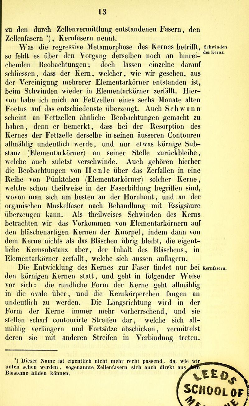 zu den durch Zellenvermittlung entstandenen Fasern, den Zellenfasern *), Kernfasern nennt. Was die regressive Metamorphose des Kernes betrifft, s.hwinden so fehlt es über den Vorgang derselben noch an hinrei- chenden Beobachtungen; doch lassen einzelne darauf schliessen, dass der Kern, welcher, wie wir gesehen, aus der Vereinigung mehrerer Elementarkörner entstanden ist, beim Schwinden wieder in Elementarkörner zerfällt. Hier- von habe ich mich an Fettzellen eines sechs Monate alten Foetus auf das entschiedenste überzeugt. Auch Schwann scheint an Fettzellen ähnhche Beobachtungen gemacht zu haben, denn er bemerkt, dass bei der Resorption des Kernes der Fettzelle derselbe in seinen äusseren Contouren allmähhg undeutlich werde, und nur etwas körnige Sub- stanz (Elementarkörner) an seiner Stelle zurückbleibe, welche auch zuletzt verschwinde. Auch gehören hierher die Beobachtungen von He nie über das Zerfallen in eine Reihe von Pünktchen (Elementarkörner) solcher Kerne, welche schon theilweise in der Faserbildung begriffen sind, wovon man sich am besten an der Hornhaut, und an der organischen Muskelfaser nach Behandlung mit Essigsäure überzeugen kann. Als theilweises Schwinden des Kerns betrachten wir das Vorkommen von Elementarkörnern auf den bläschenartigen Kernen der Knorpel, indem dann von dem Kerne nichts als das Bläschen übrig bleibt, die eigent- liche Kernsubstanz aber, der Inhalt des Bläschens, in Elementarkörner zerfällt, welche sich aussen auflagern. Die Entwicklung des Kernes zur Faser findet nur bei Kernfasern. den körnigen Kernen statt, und geht in folgender Weise vor sich: die rundliche Form der Kerne geht allmählig in die ovale über, und die Kernkörperchen fangen an undeutlich zu werden. Die Längsrichtung wird in der Form der Kerne immer mehr vorherrschend, und sie stellen scharf contourirte Streifen dar, welche sich all- mählig verlängern und Fortsätze abschicken, vermittelst deren sie mit anderen Streifen in Verbindung treten. *) Dieser Name ist eigentlich nicht mehr recht passend, da, wie wir unten sehen werden , sogenannte Zellenfasern sich auch direkt aus Blasteme bilden können. SCIIOOLOF