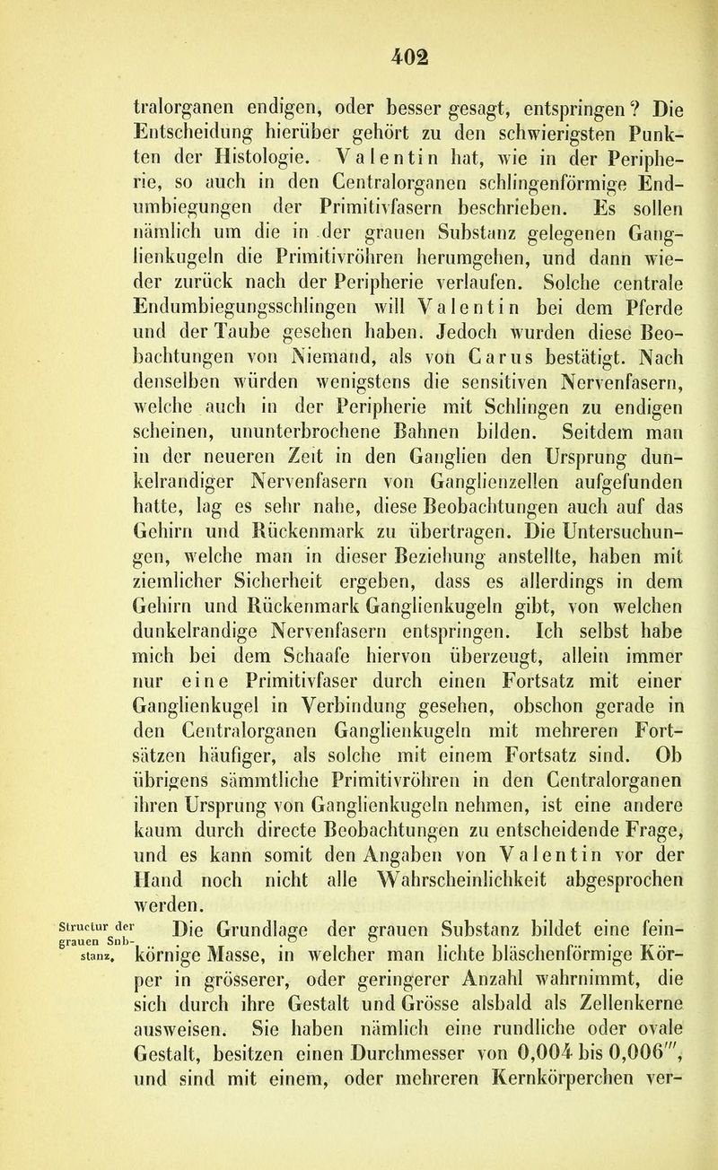 tralorganen endigen, oder besser gesagt, entspringen ? Die Entscheidung hierüber gehört zu den schwierigsten Punk- ten der Histologie. Valentin hat, wie in der Periphe- rie, so auch in den Centraiorganen schlingenförmige End- umbiegungen der Primitivfasern beschrieben. Es sollen nämlich um die in der grauen Substanz gelegenen Gang- lienkugeln die Primitivröhren herumgehen, und dann wie- der zurück nach der Peripherie verlaufen. Solche centrale Endumbiegungsschlingen will Valentin bei dem Pferde und der Taube gesehen haben. Jedoch wurden diese Beo- bachtungen von Niemand, als von Garus bestätigt. Nach denselben würden wenigstens die sensitiven Nervenfasern, welche auch in der Peripherie mit Schlingen zu endigen scheinen, ununterbrochene Bahnen bilden. Seitdem man in der neueren Zeit in den Ganghen den Ursprung dun- kelrandiger Nervenfasern von Ganglienzellen aufgefunden hatte, lag es sehr nahe, diese Beobachtungen auch auf das Gehirn und Rückenmark zu übertragen. Die Untersuchun- gen, welche man in dieser Beziehung anstellte, haben mit ziemlicher Sicherheit ergeben, dass es allerdings in dem Gehirn und Rückenmark Ganglienkugeln gibt, von welchen dunkelrandige Nervenfasern entspringen. Ich selbst habe mich bei dem Schaafe hiervon überzeugt, allein immer nur eine Primitivfaser durch einen Fortsatz mit einer GangHenkugel in Verbindung gesehen, obschon gerade in den Centraiorganen Ganglienkugeln mit mehreren Fort- sätzen häufiger, als solche mit einem Fortsatz sind. Ob übrigens sämmtliche Primitivröhren in den Centraiorganen ihren Ursprung von Ganglienkugeln nehmen, ist eine andere kaum durch directe Beobachtungen zu entscheidende Frage, und es kann somit den Angaben von Valentin vor der Hand noch nicht alle Wahrscheinlichkeit abgesprochen Averden. uen'^snr Gmudlago der grauen Substanz bildet eine fein- stanz, körnige Masse, in welcher man lichte bläschenförmige Kör- per in grösserer, oder geringerer Anzahl wahrnimmt, die sich durch ihre Gestalt und Grösse alsbald als Zellenkerne ausweisen. Sie haben nämlich eine rundliche oder ovale Gestalt, besitzen einen Durchmesser von 0,004 bis 0,006', und sind mit einem, oder mehreren Kernkörperchen ver-